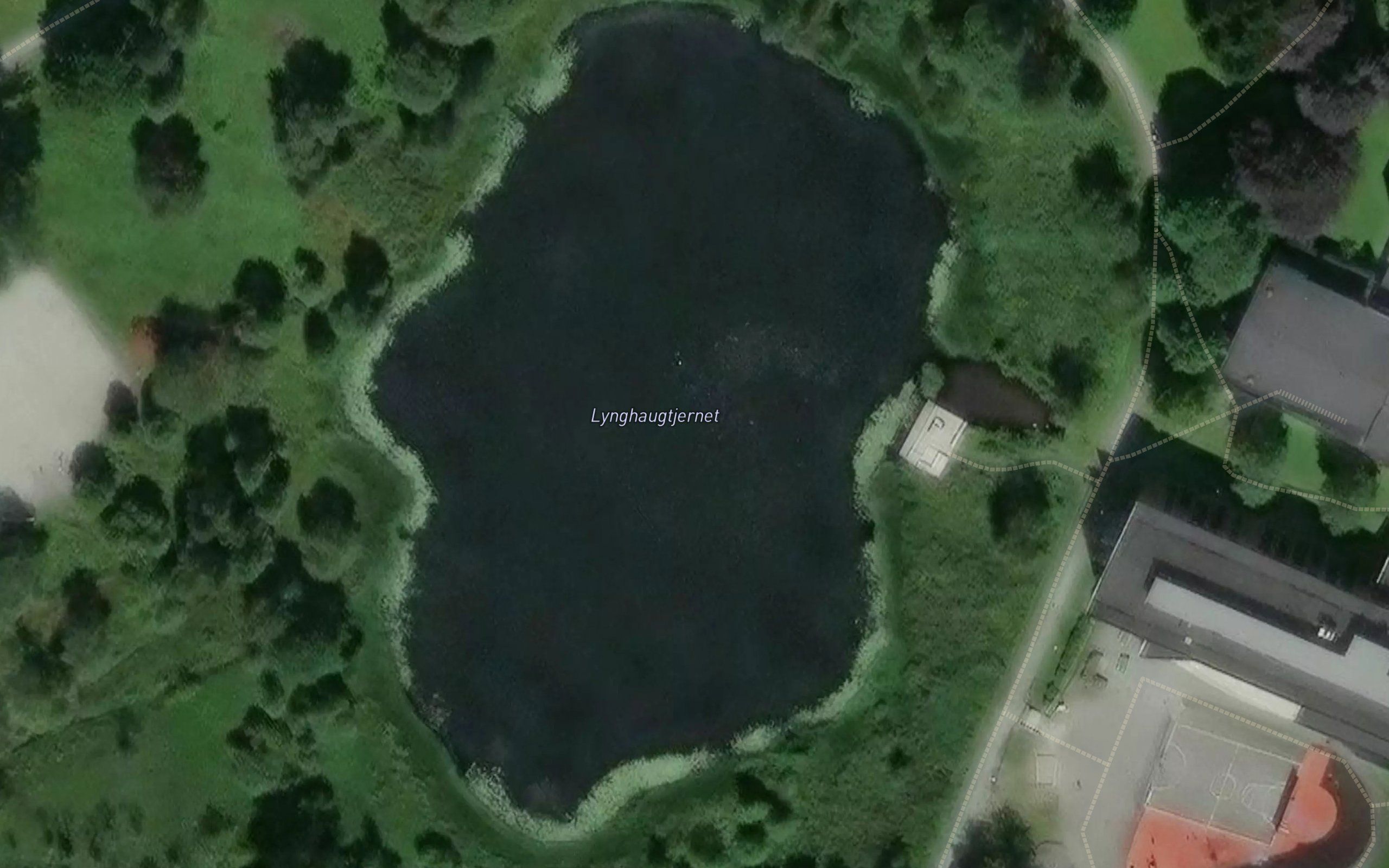 Lynghaugtjorna