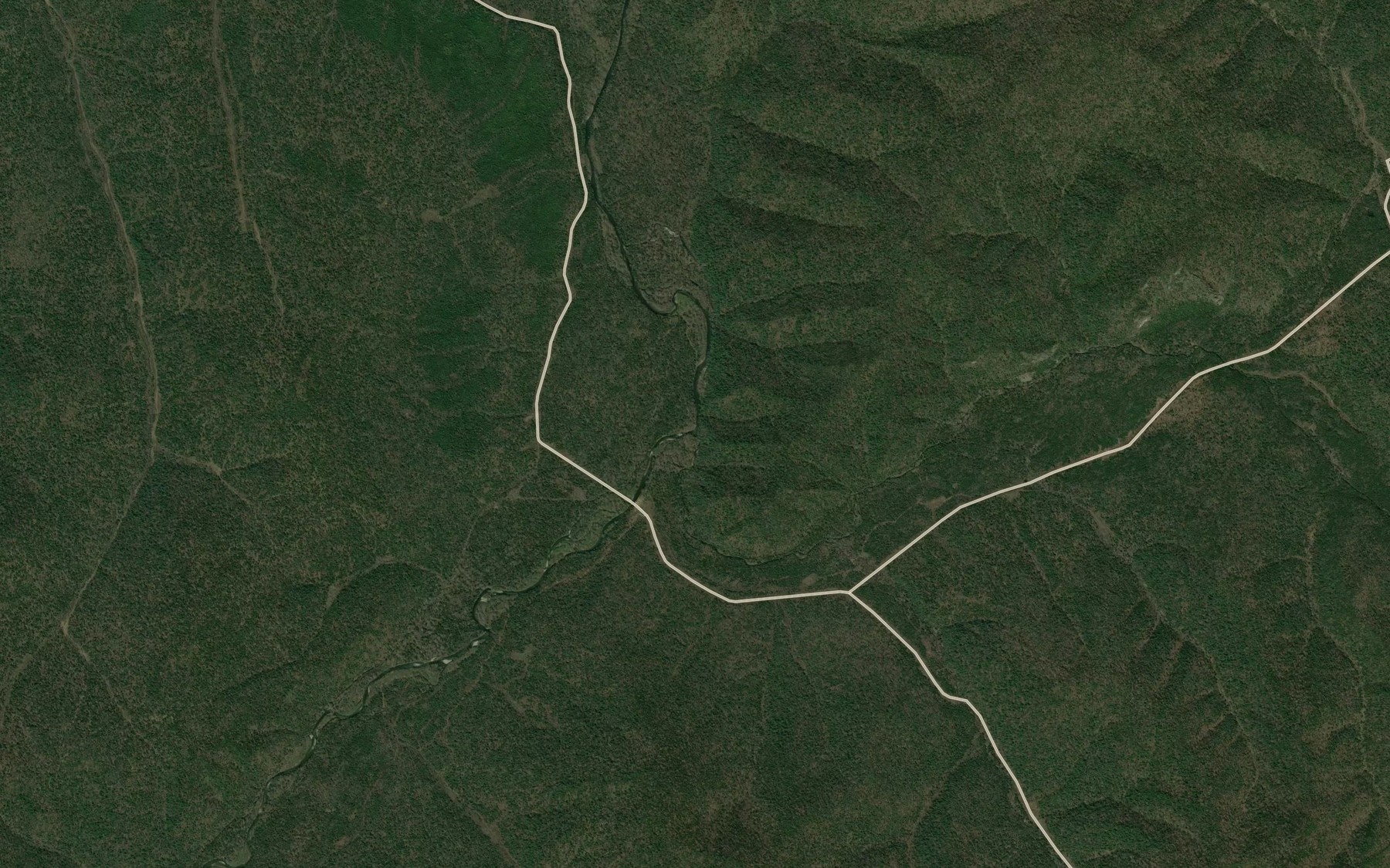 Satellite map of the Vetvistyy