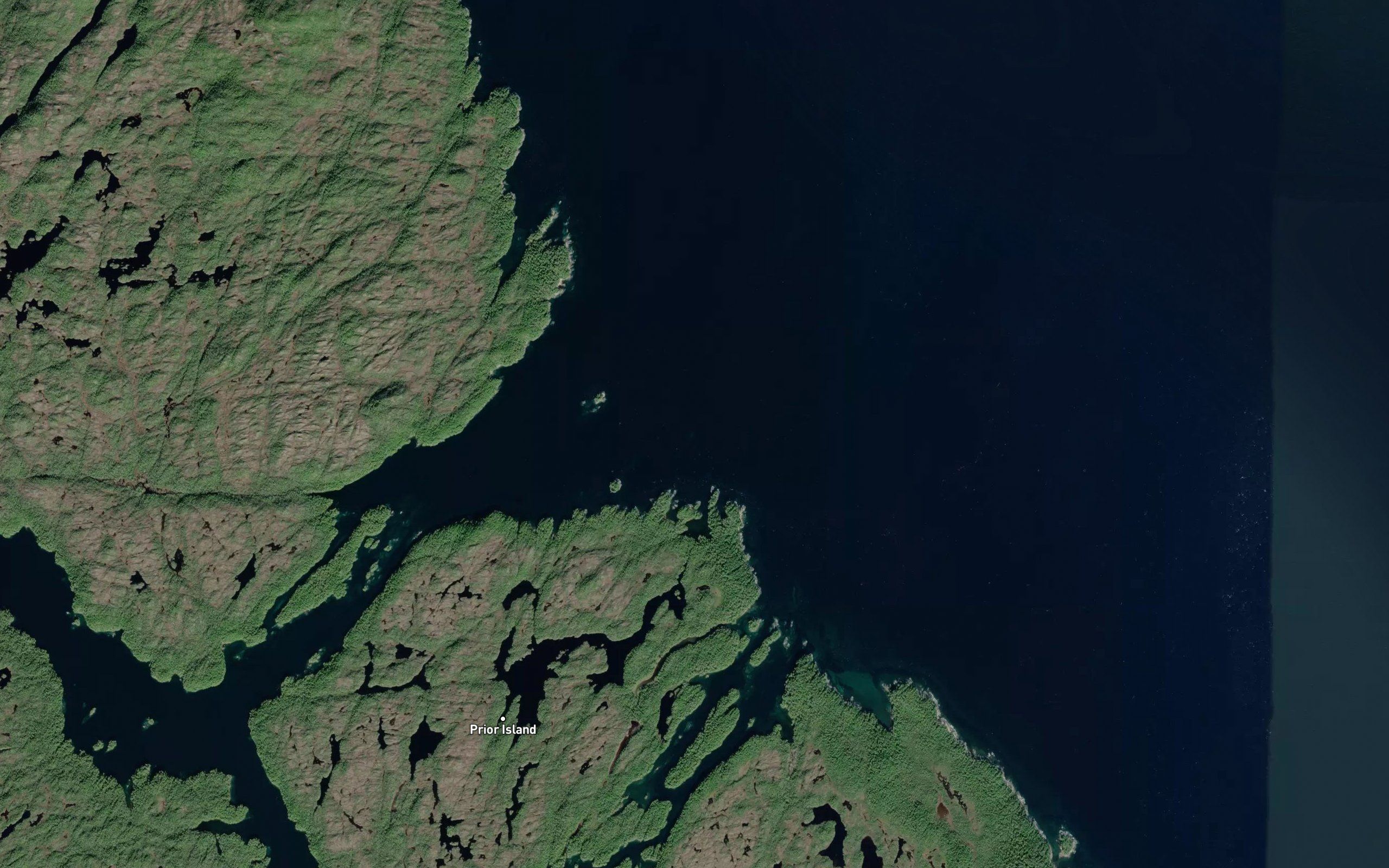 Narwhal Reef