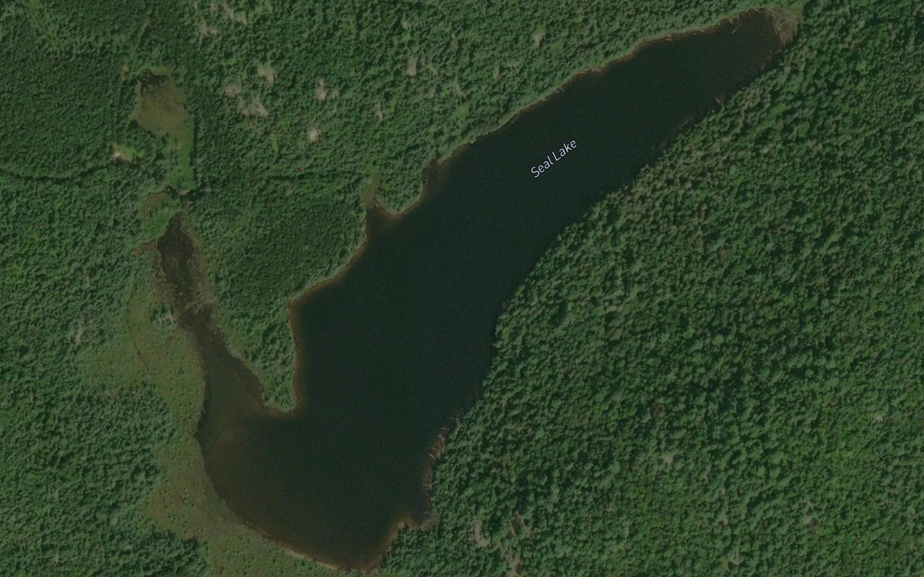 Satellite map of the Seal Lake