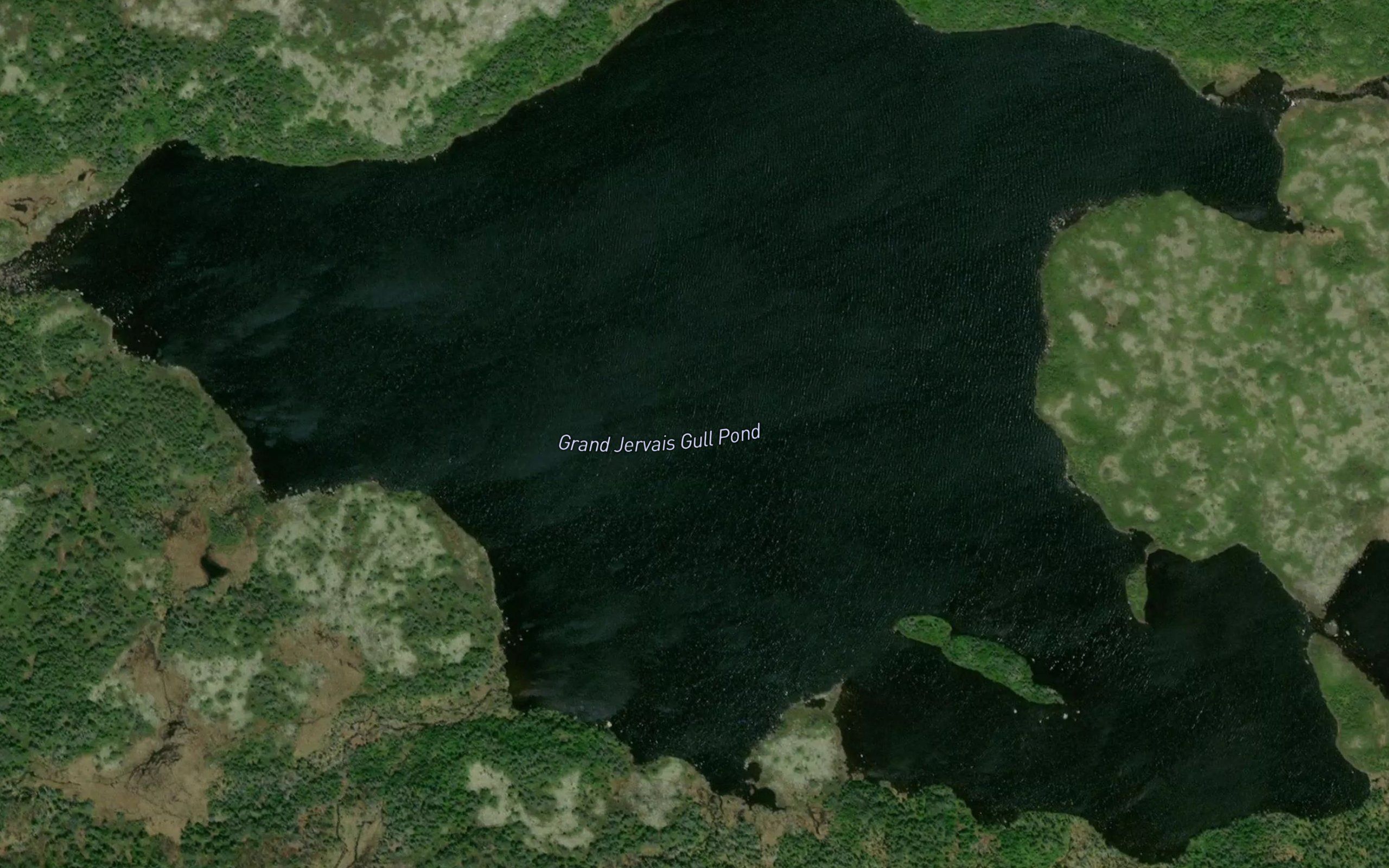 Grand Jervais Gull Pond