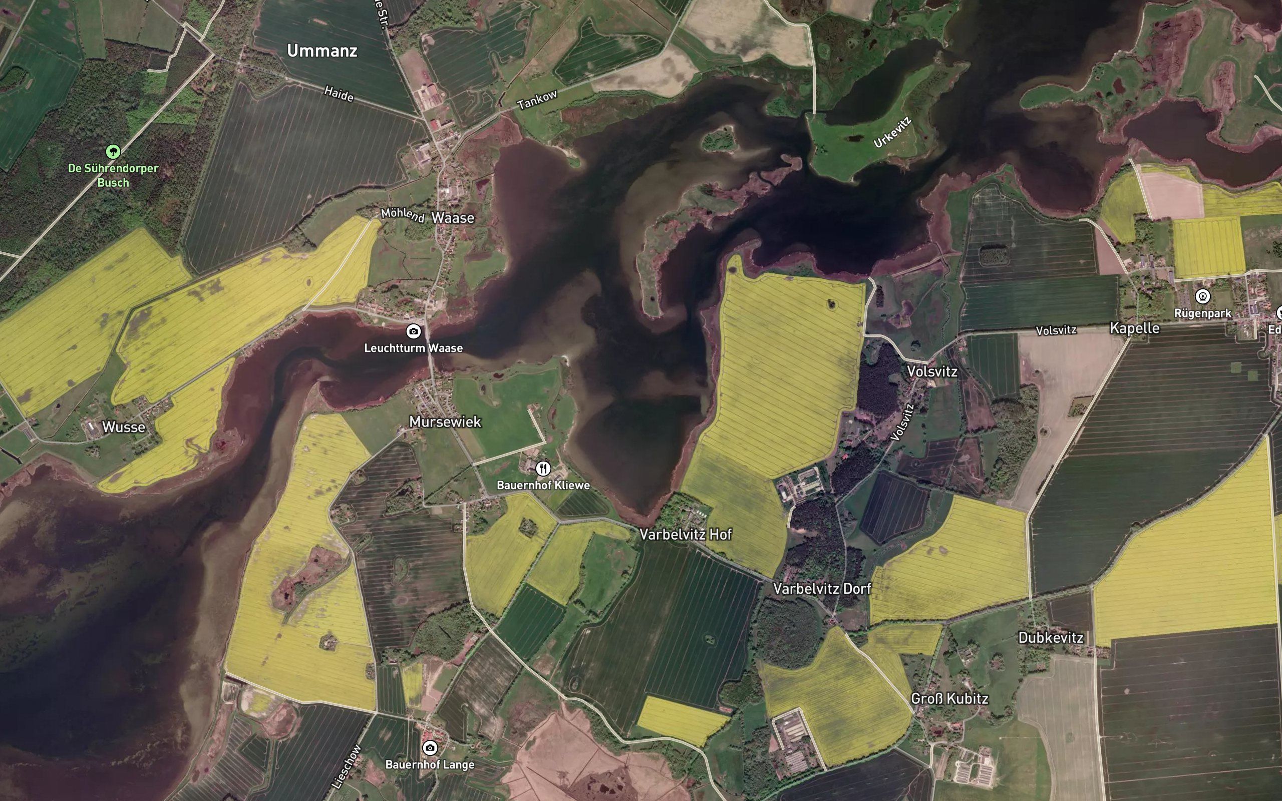 Varbelvitzer Bodden