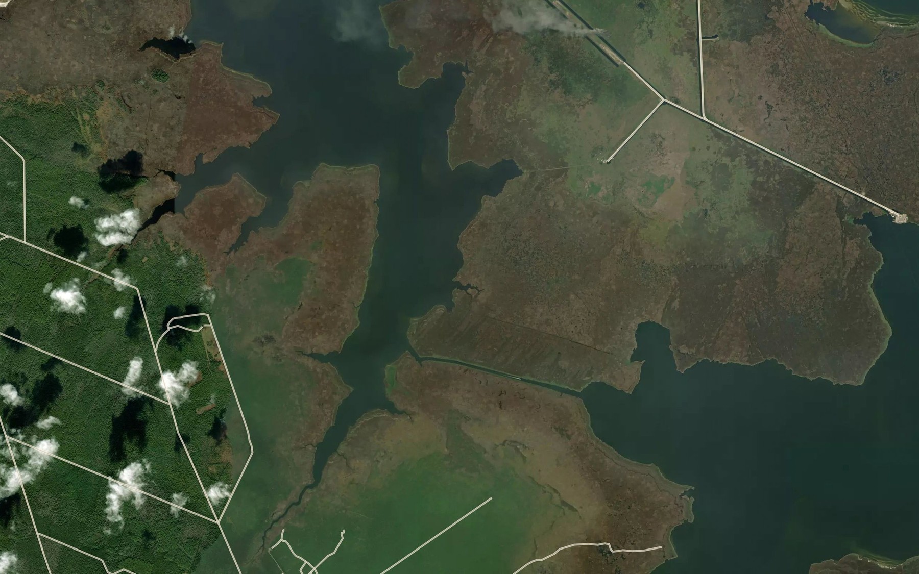 Satellite map of the Sanborns Gut