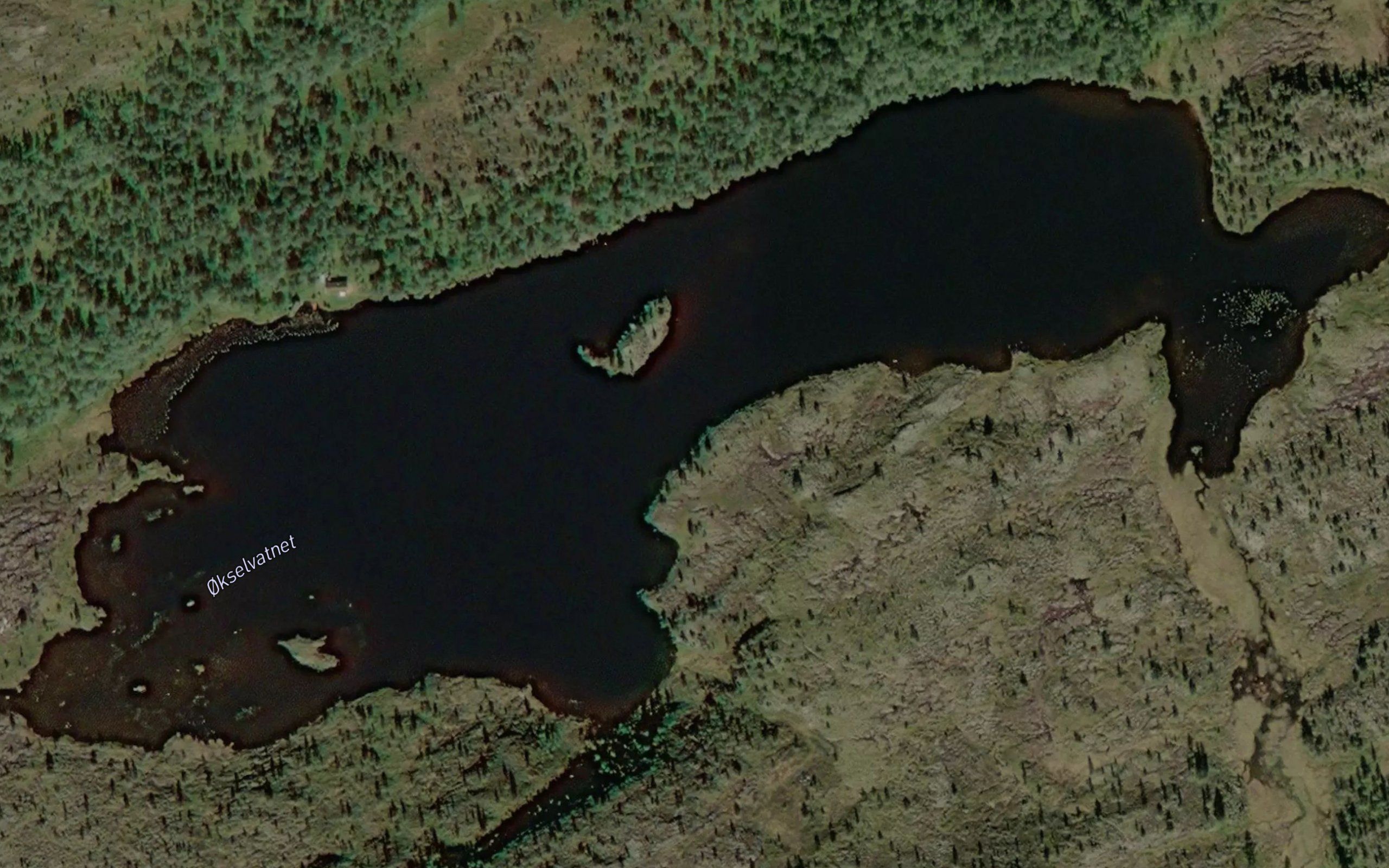 Okselvatnet
