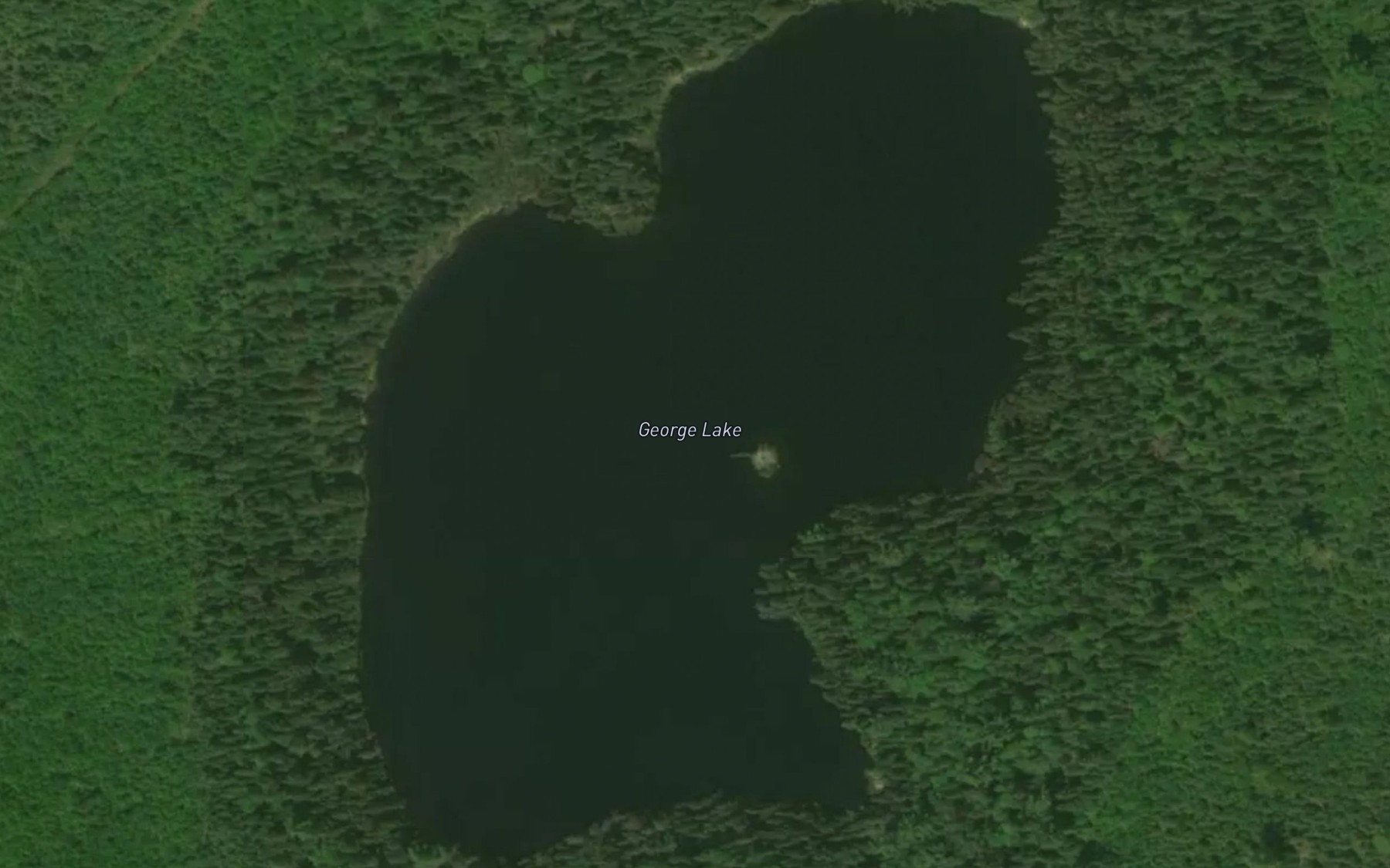 Satellite map of the George Lake