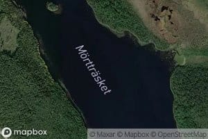Moerttraesket