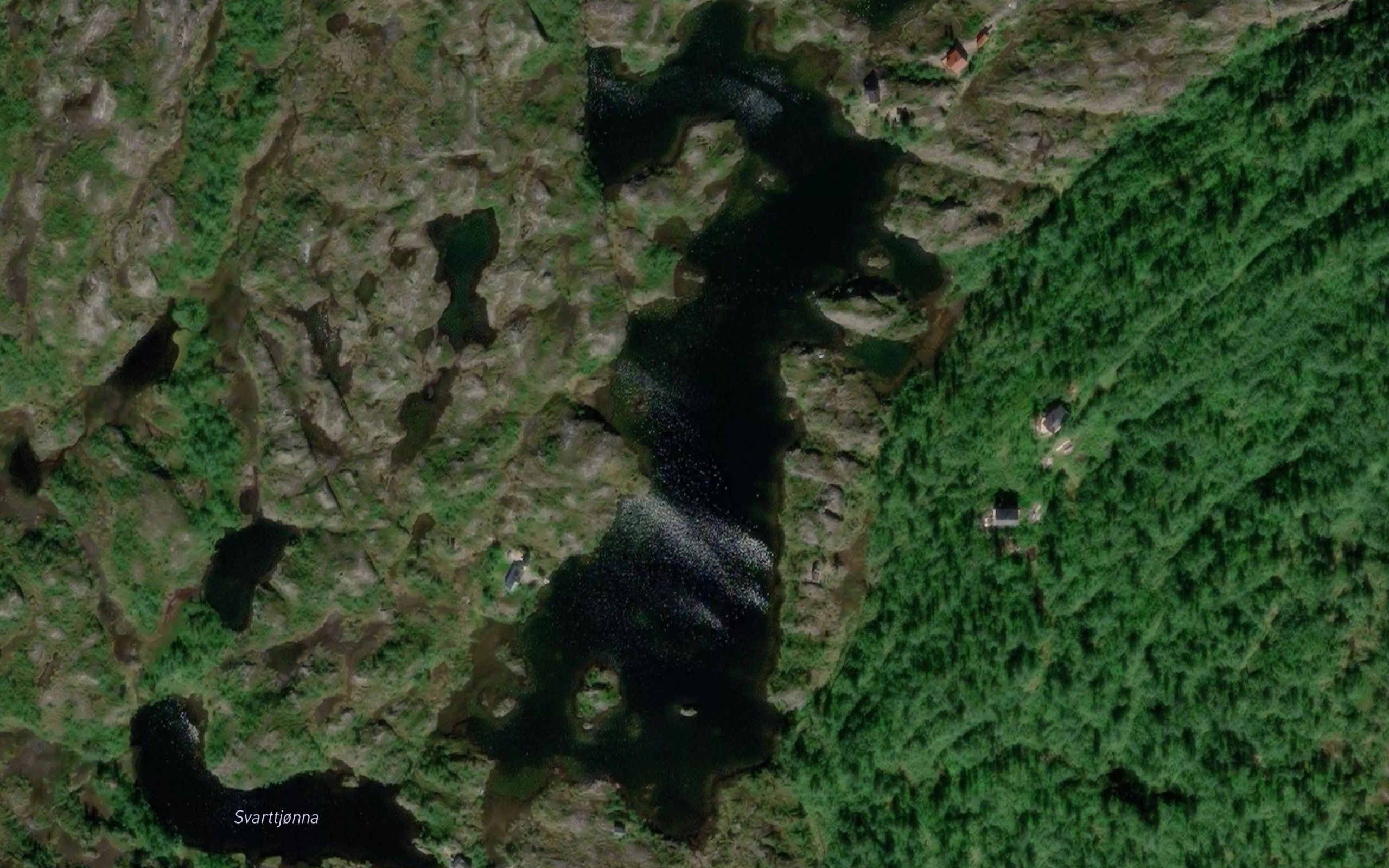 Brattliskogvatnet