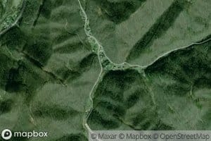 Left Fork Beehive Branch