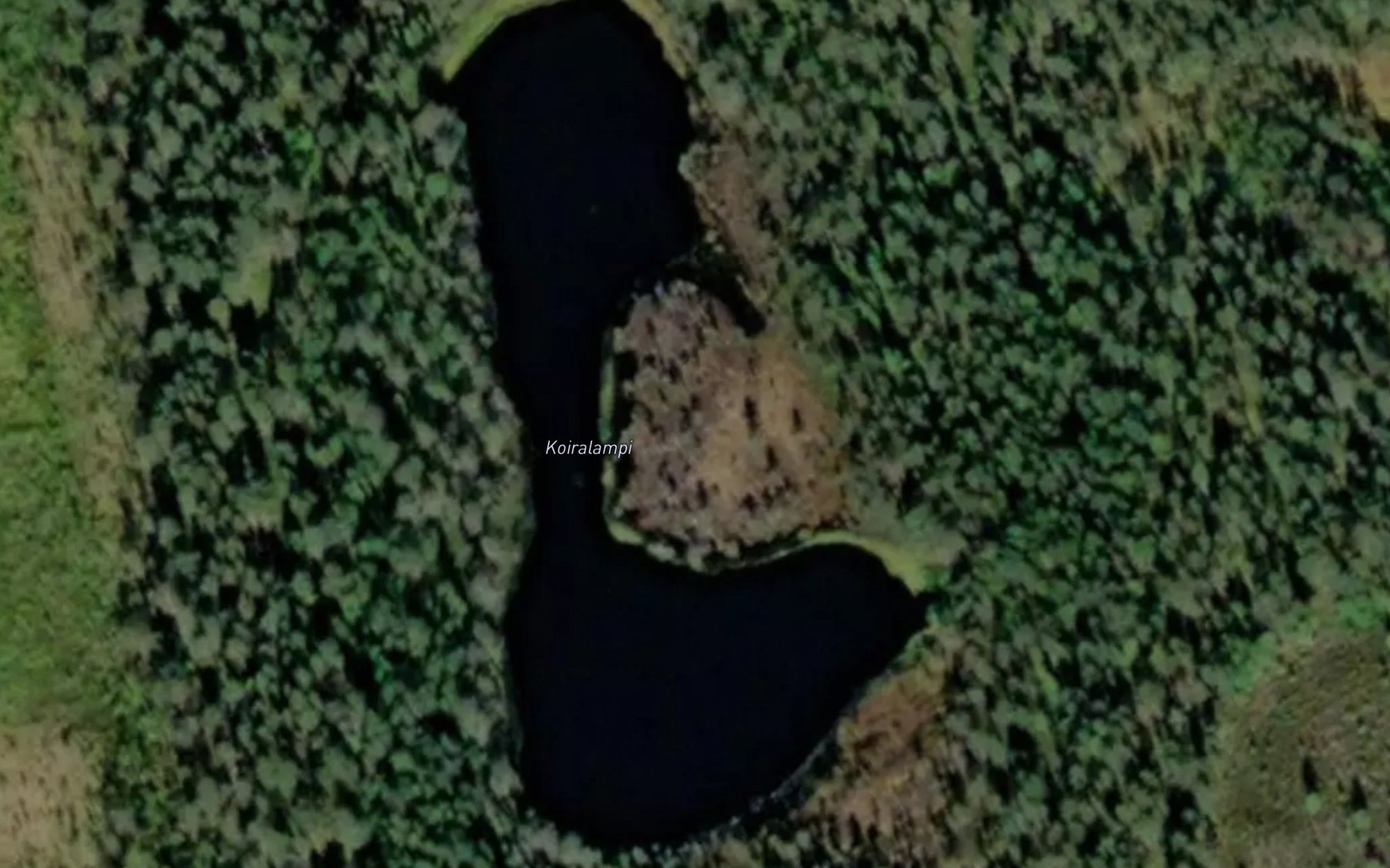 Satellite map of the Koiralampi