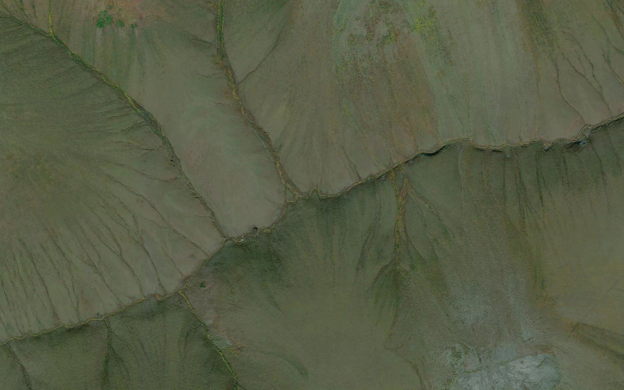 Tunnel Creek