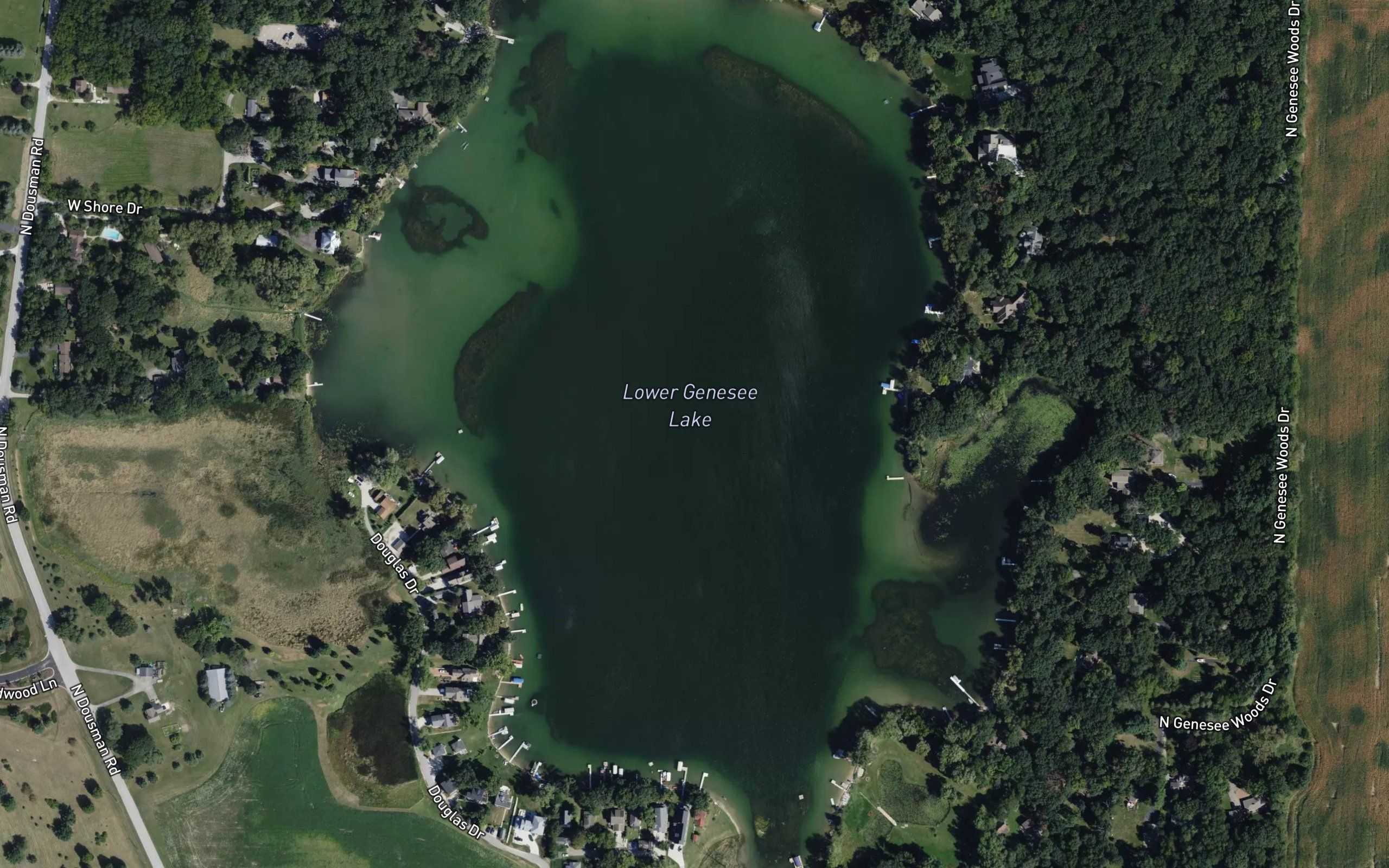 Lower Genesee Lake