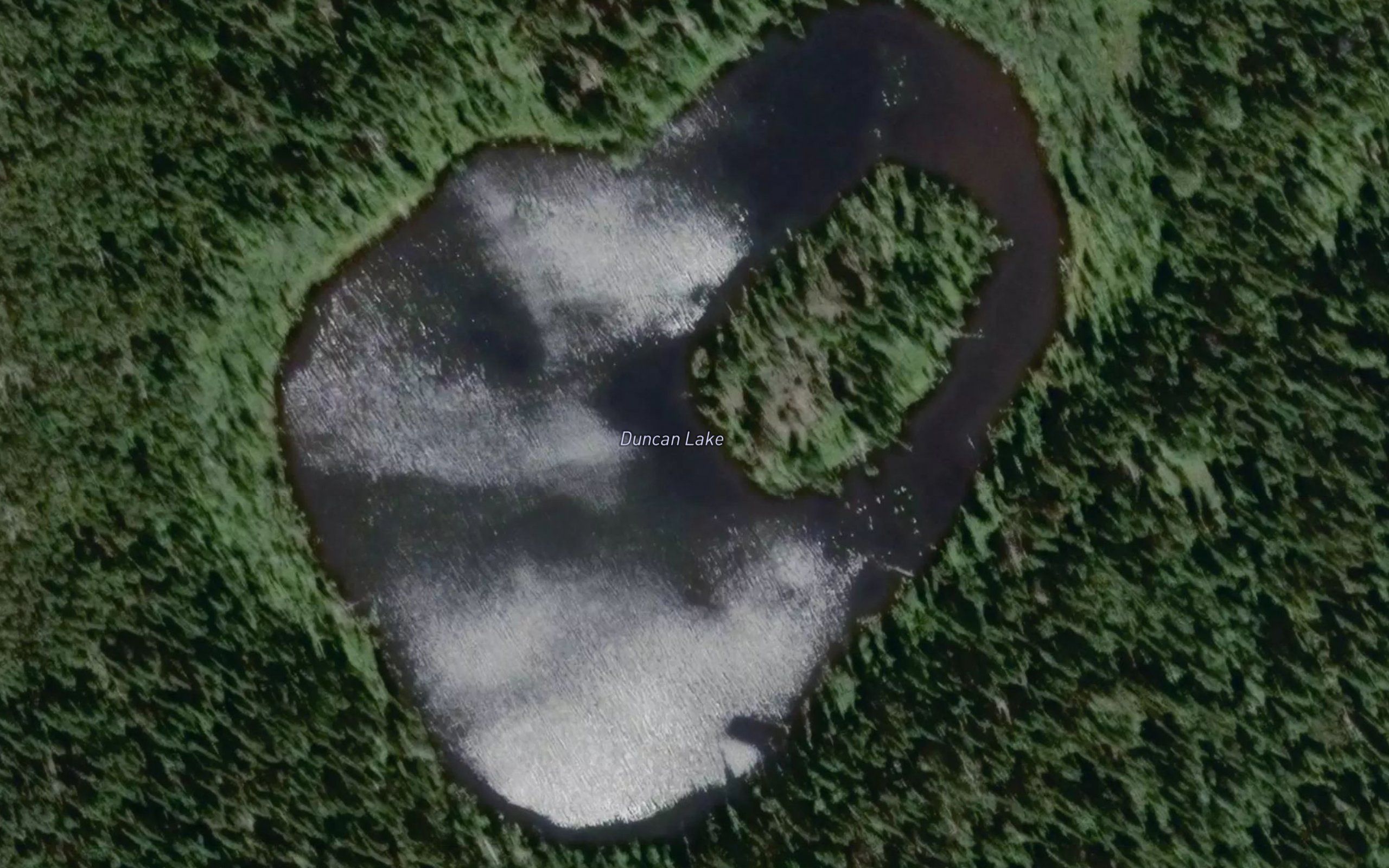 Duncan Lake