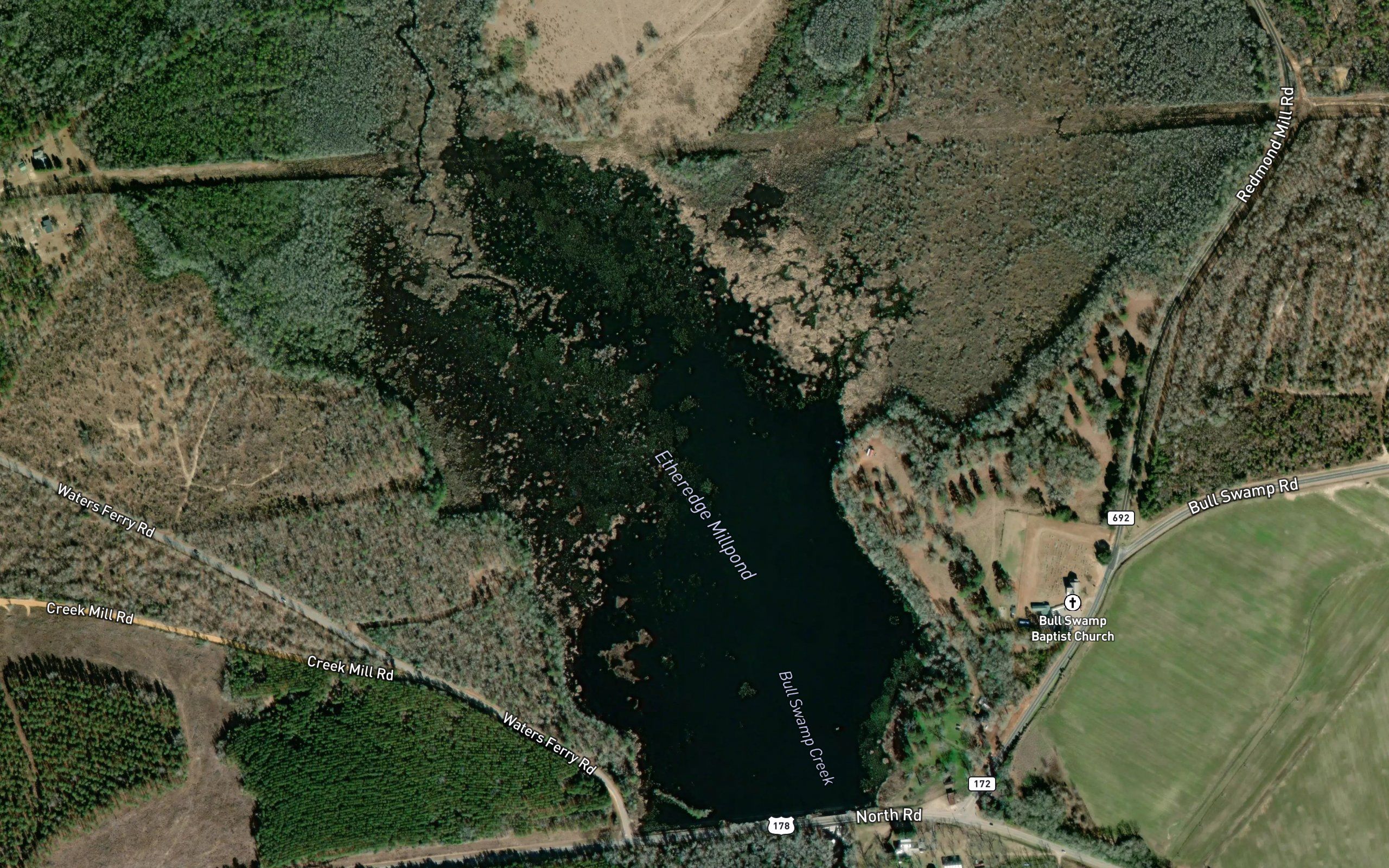 Etheredge Millpond