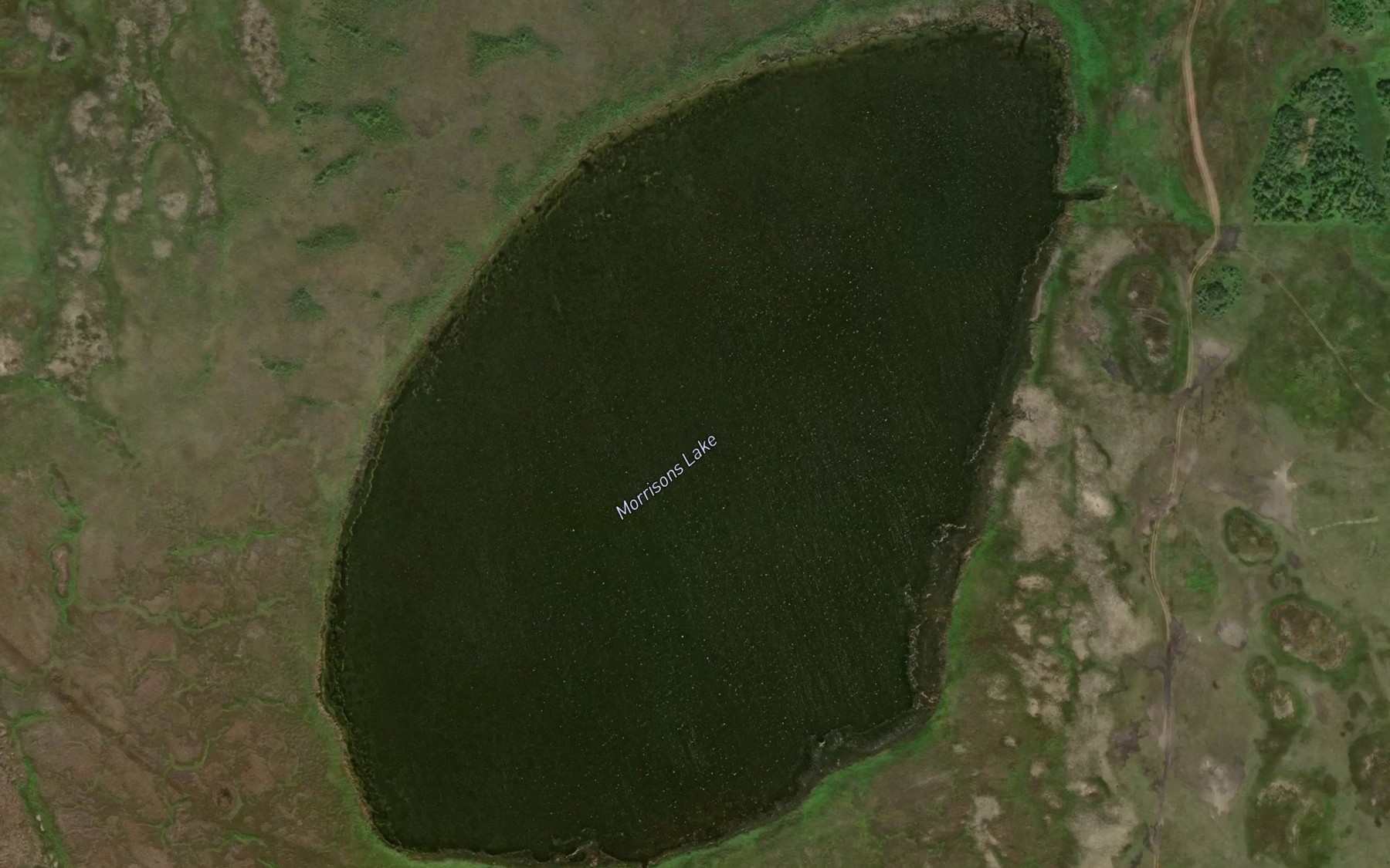 Satellite map of the Morrisons Lake