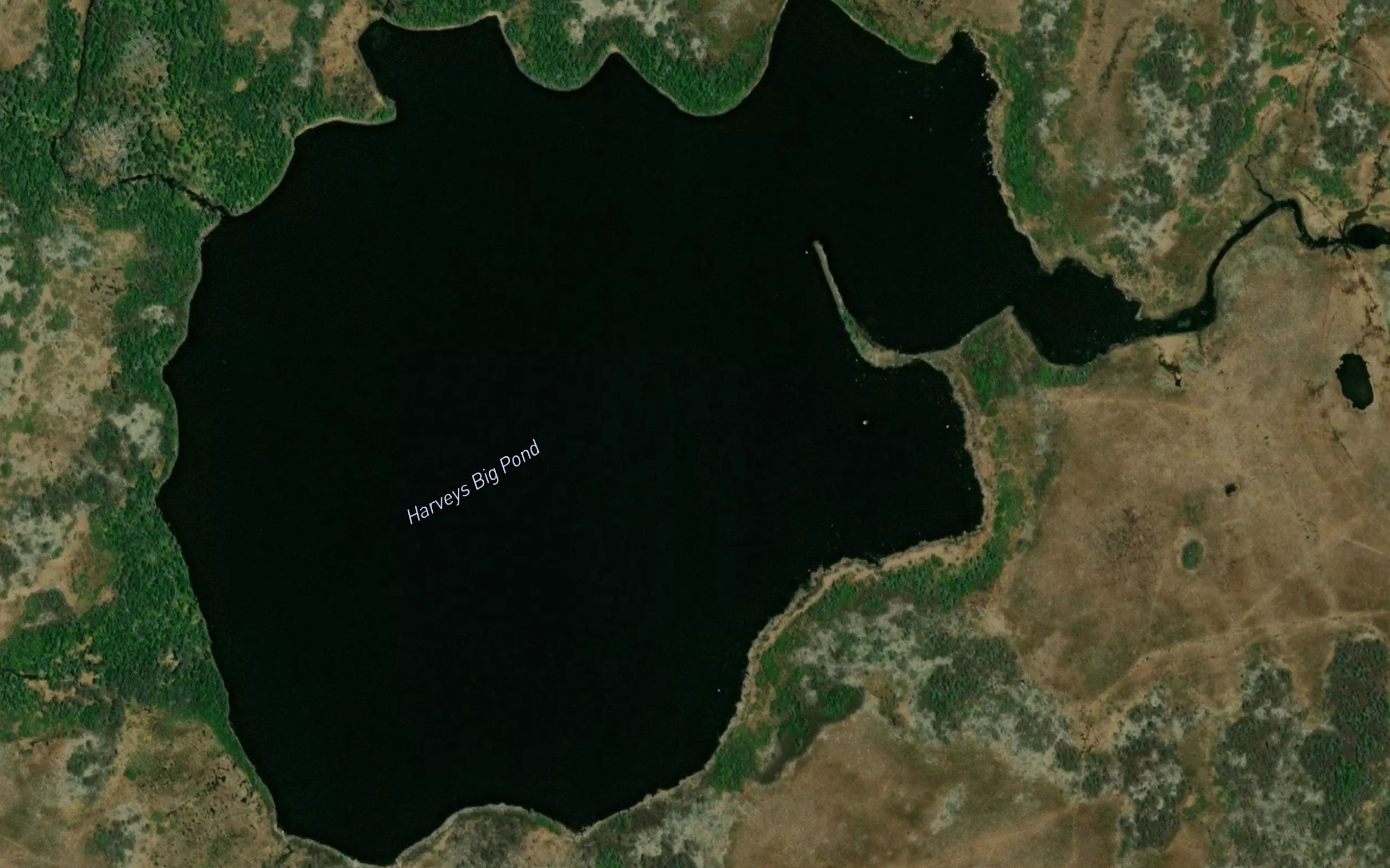 Harveys Big Pond
