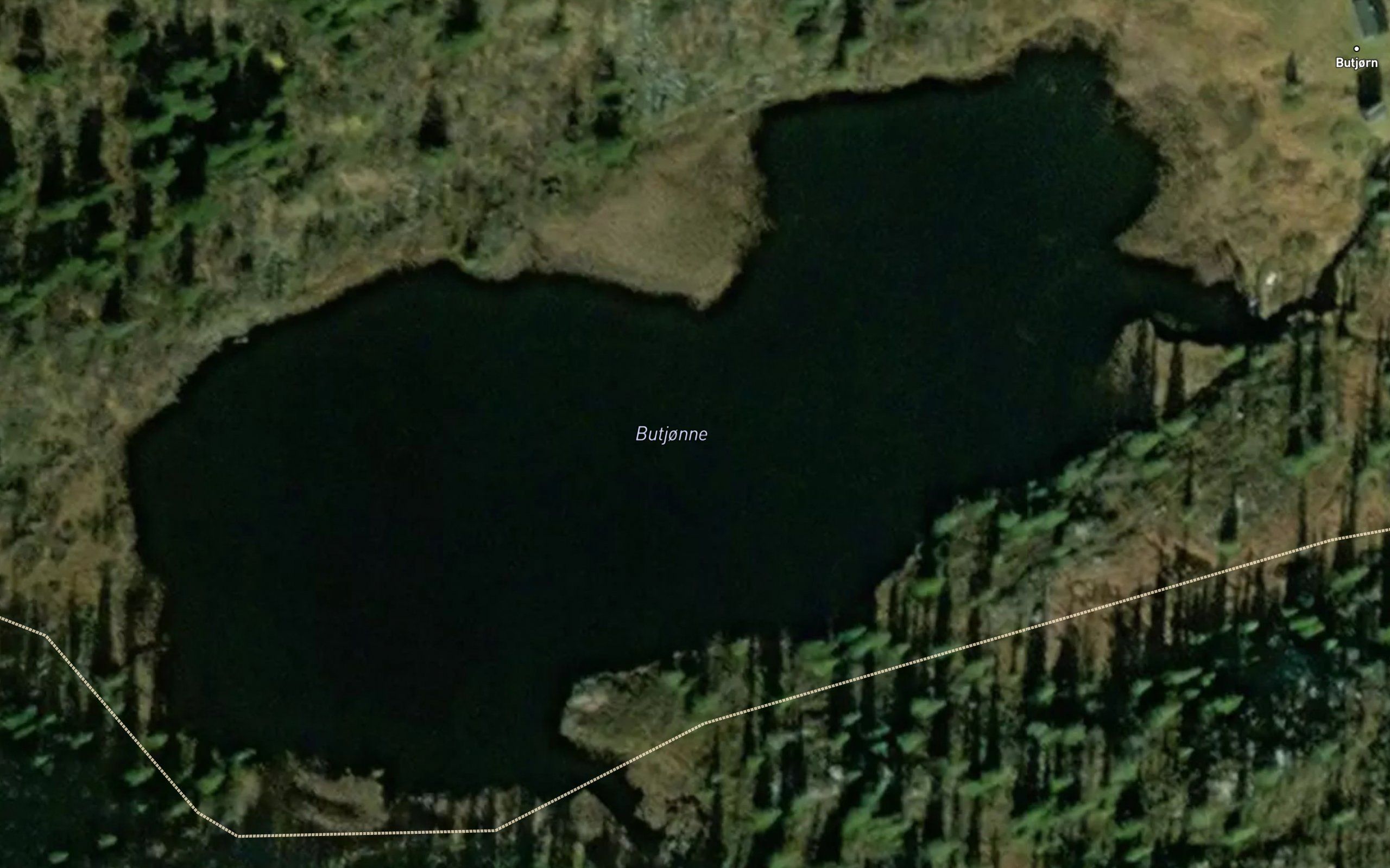 Butjorn