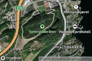 Syverstad dammen
