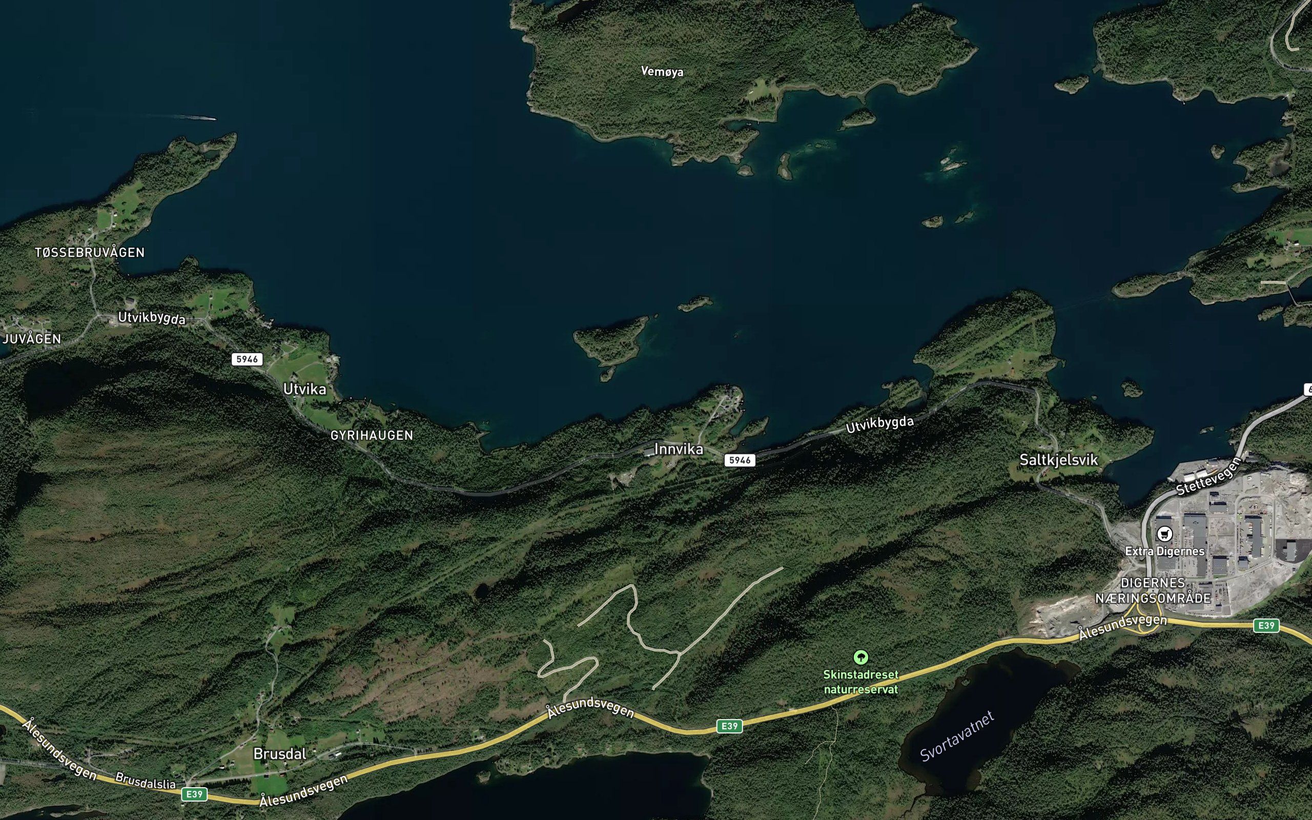 Myrbaervika