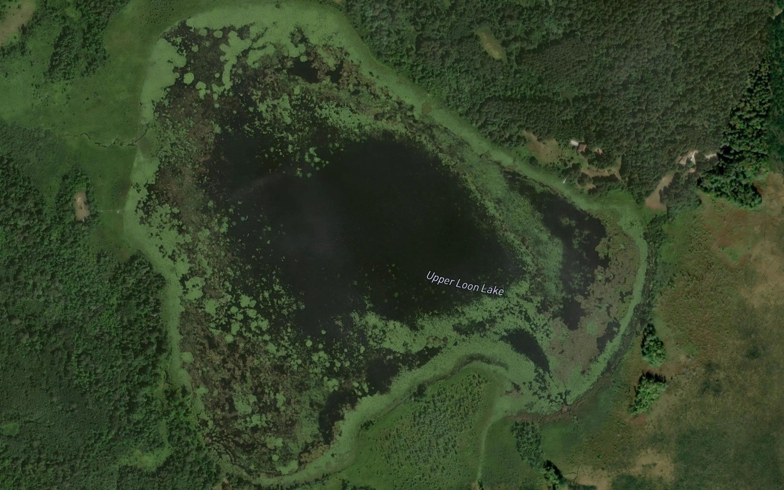 Upper Loon Lake
