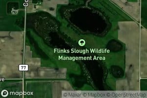 Flinks Slough