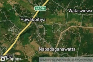 Dalupota Wewa