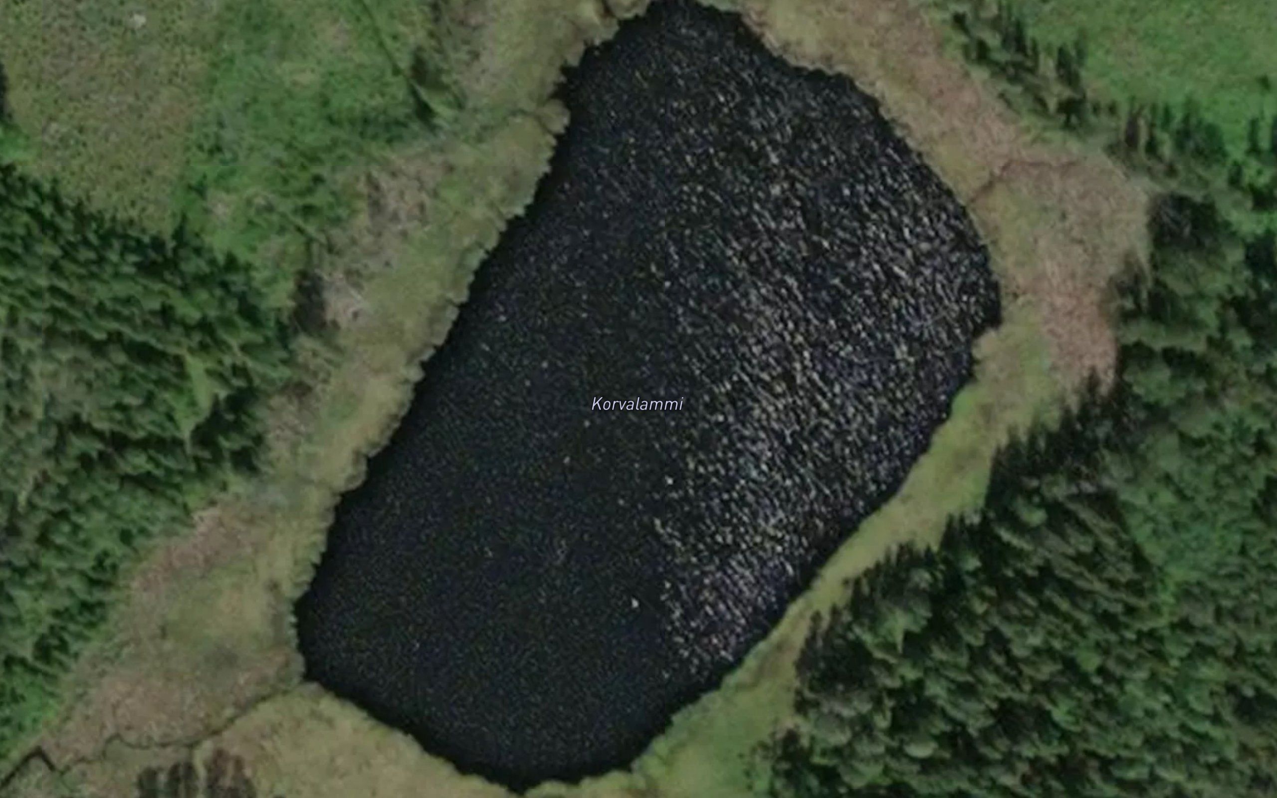 Korvalammi
