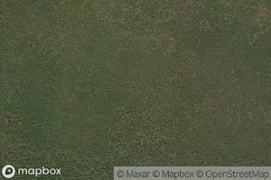 Chinongongo wa Ocewa