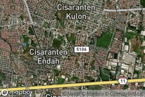 Ci Ngesed