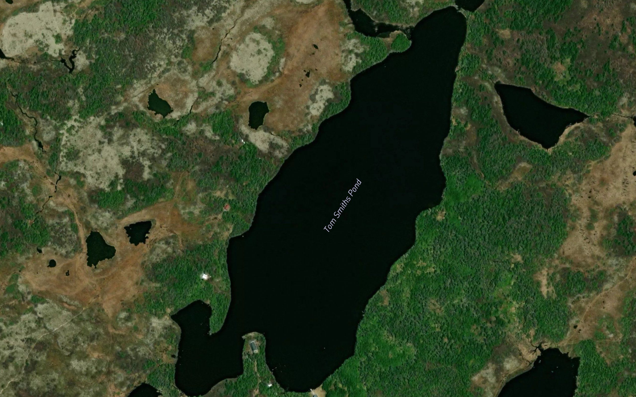 Tom Smiths Pond