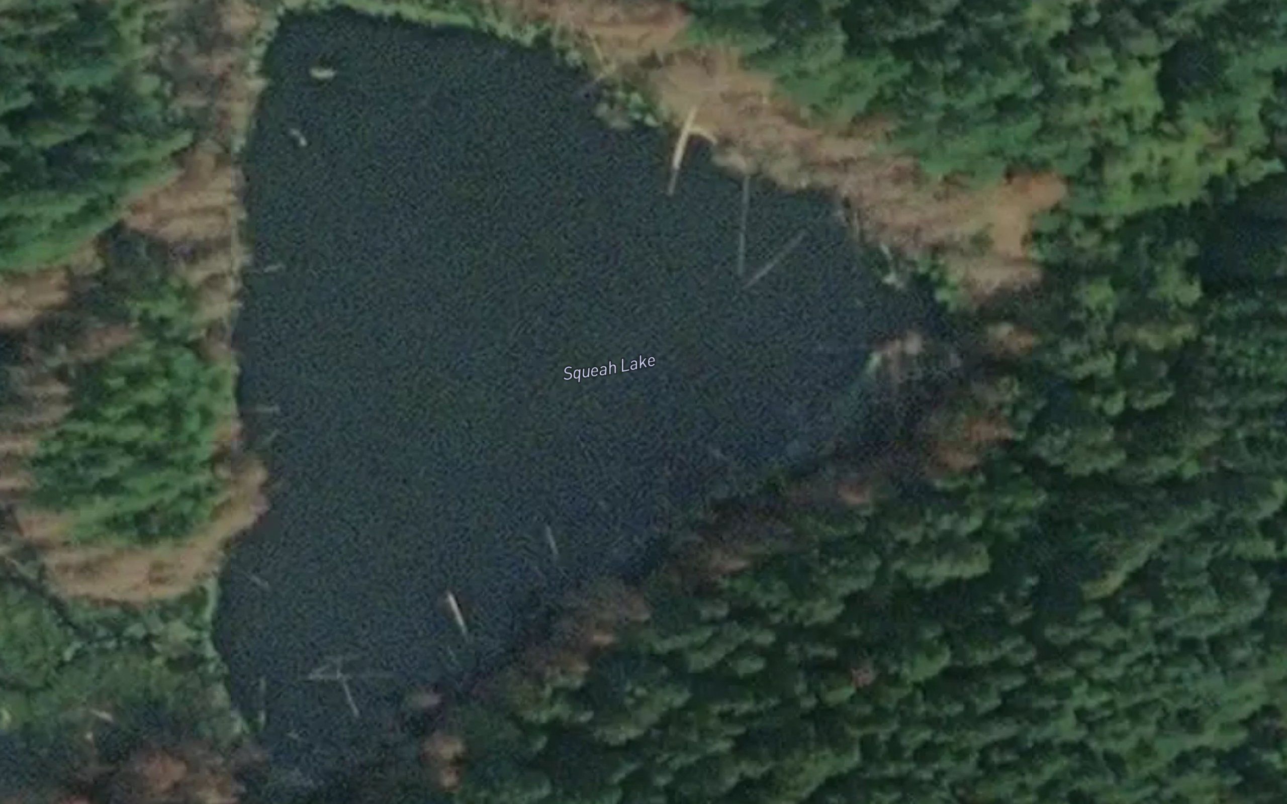 Squeah Lake