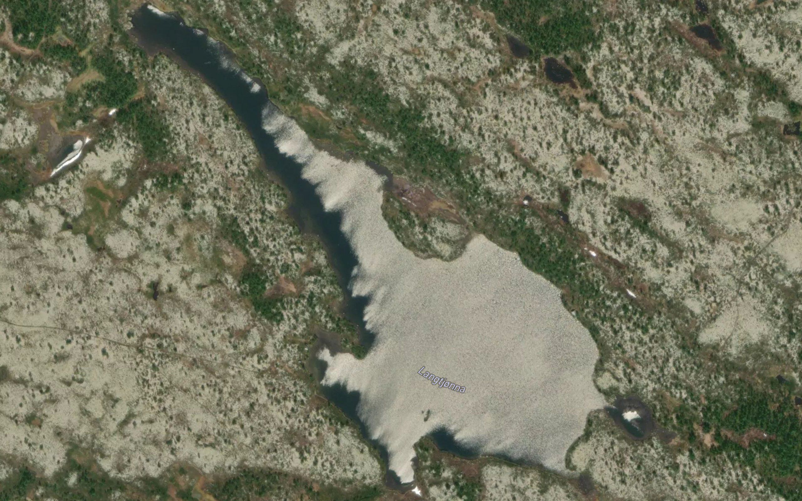Langtjonna