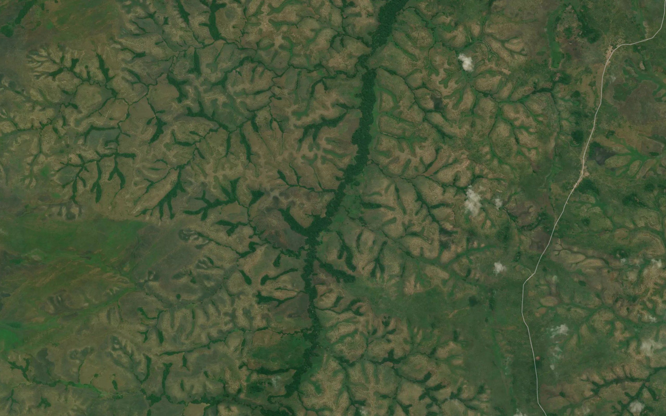 Mbota