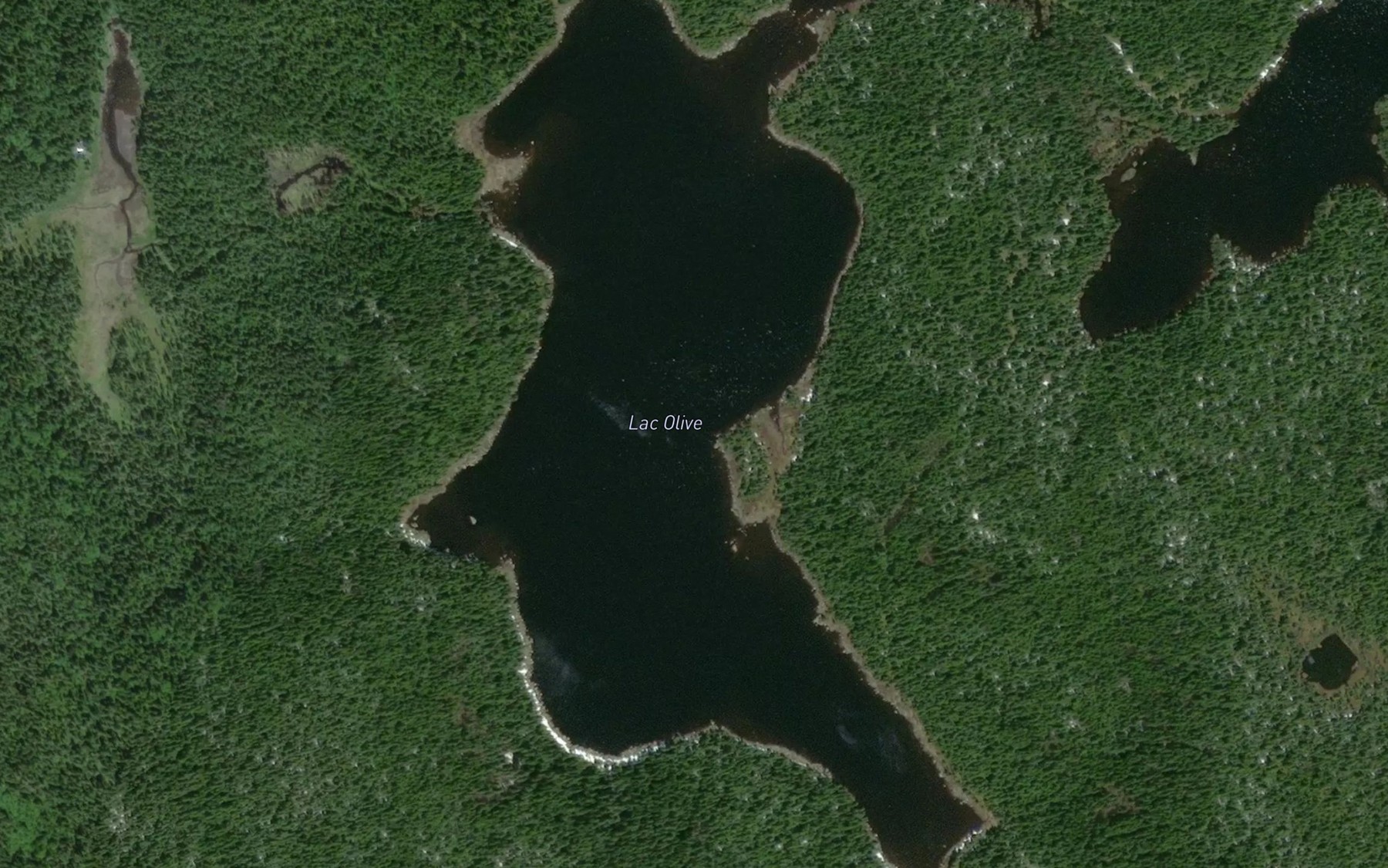 Satellite map of the Lac Olive