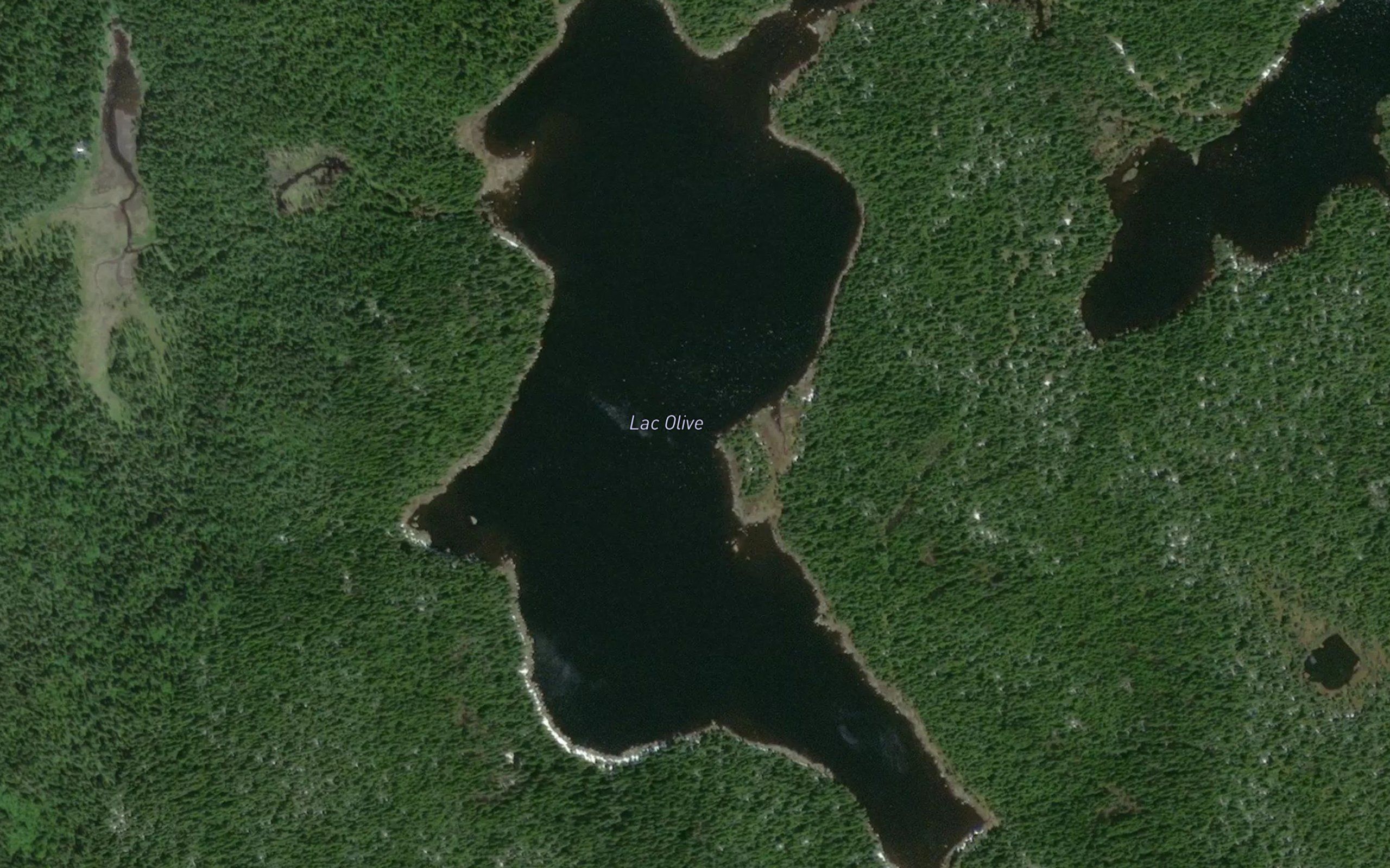 Lac Olive