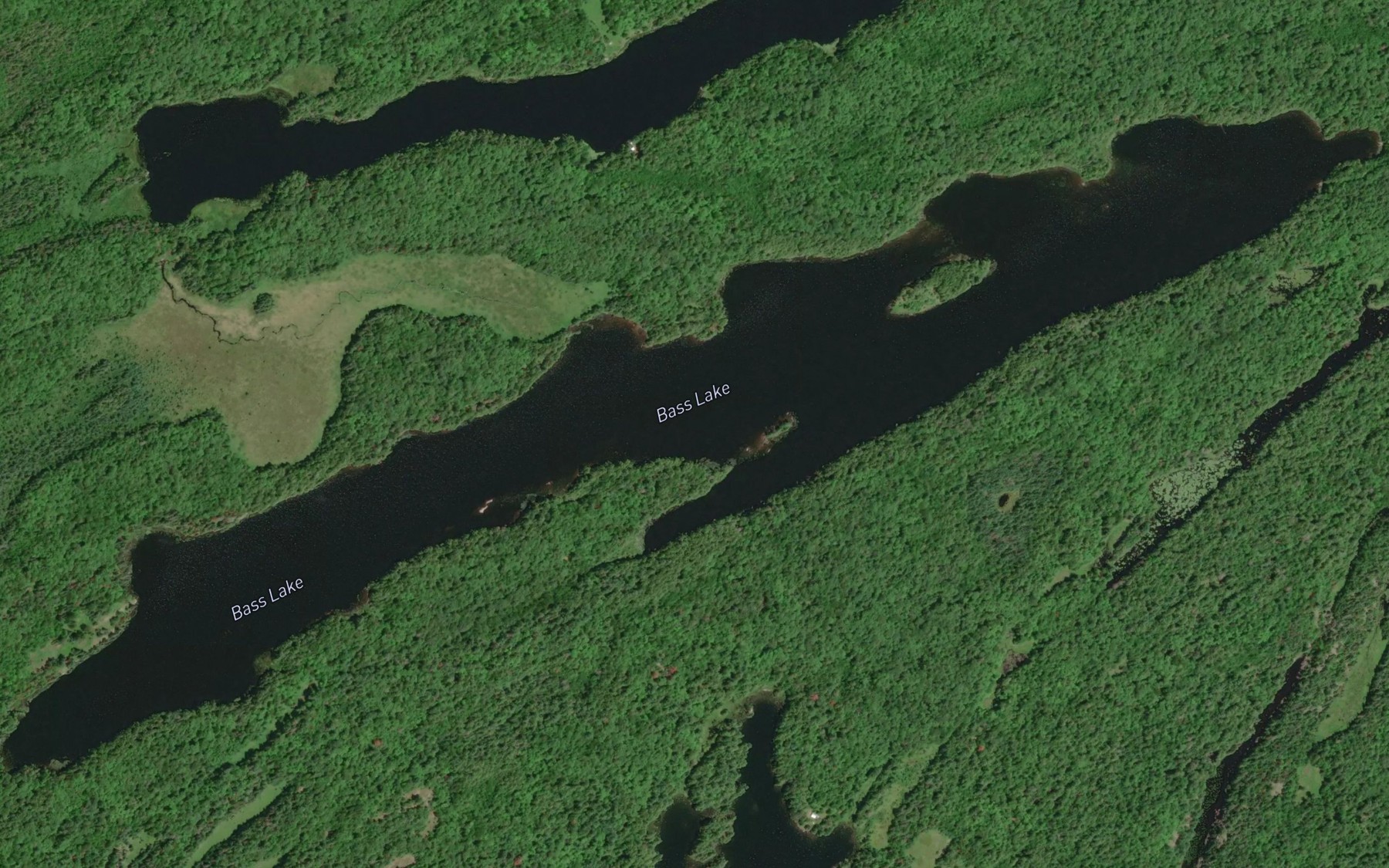 Satellite map of the Bass Lake