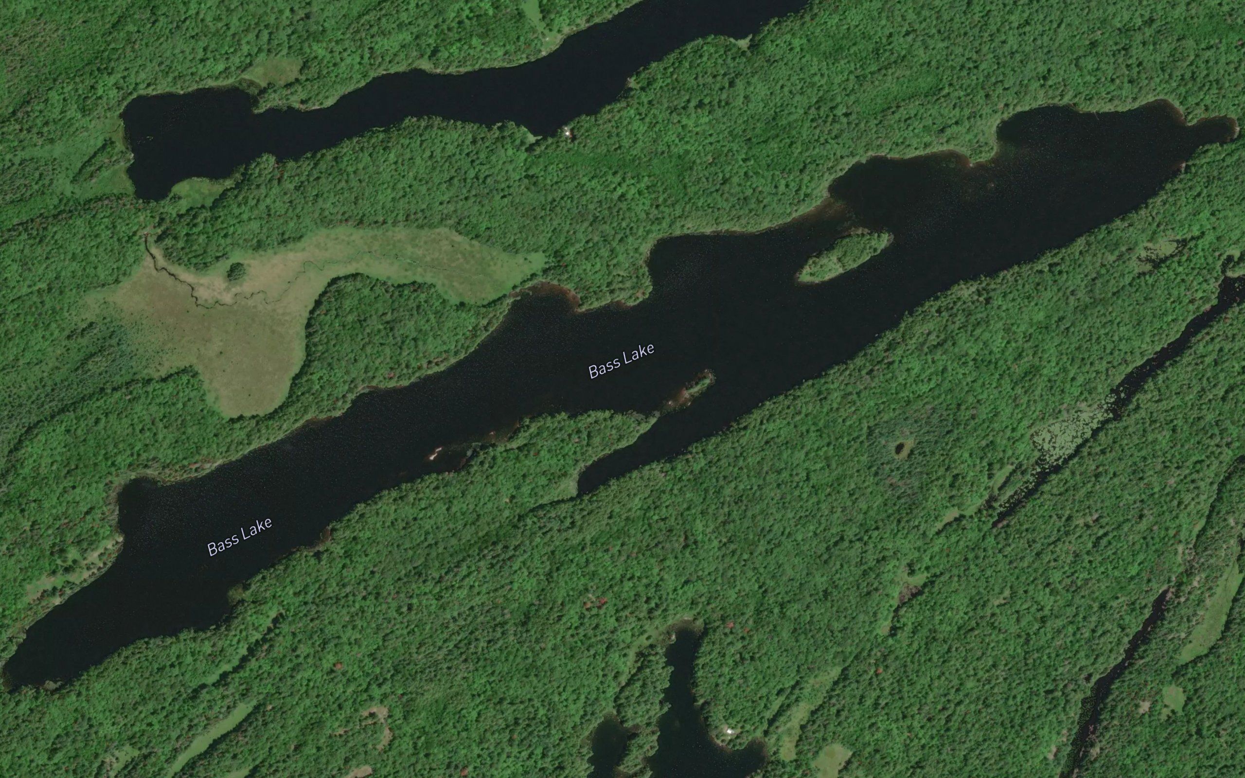 Bass Lake