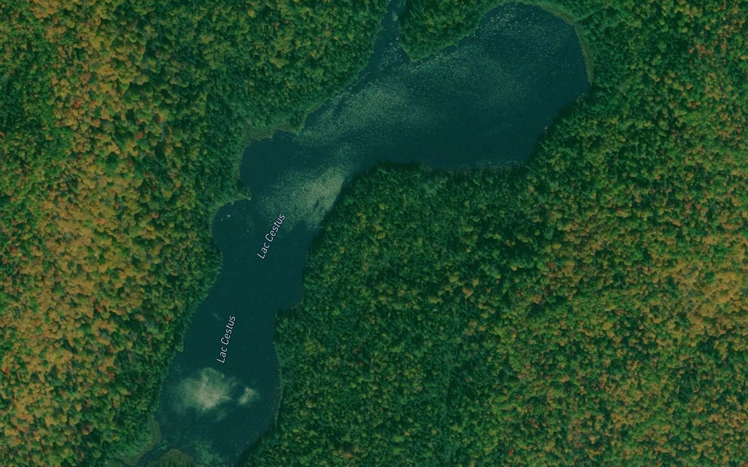 Lac Cestus