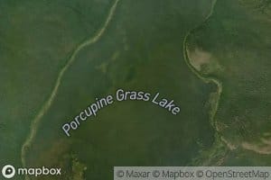 Porcupine Grass Lake