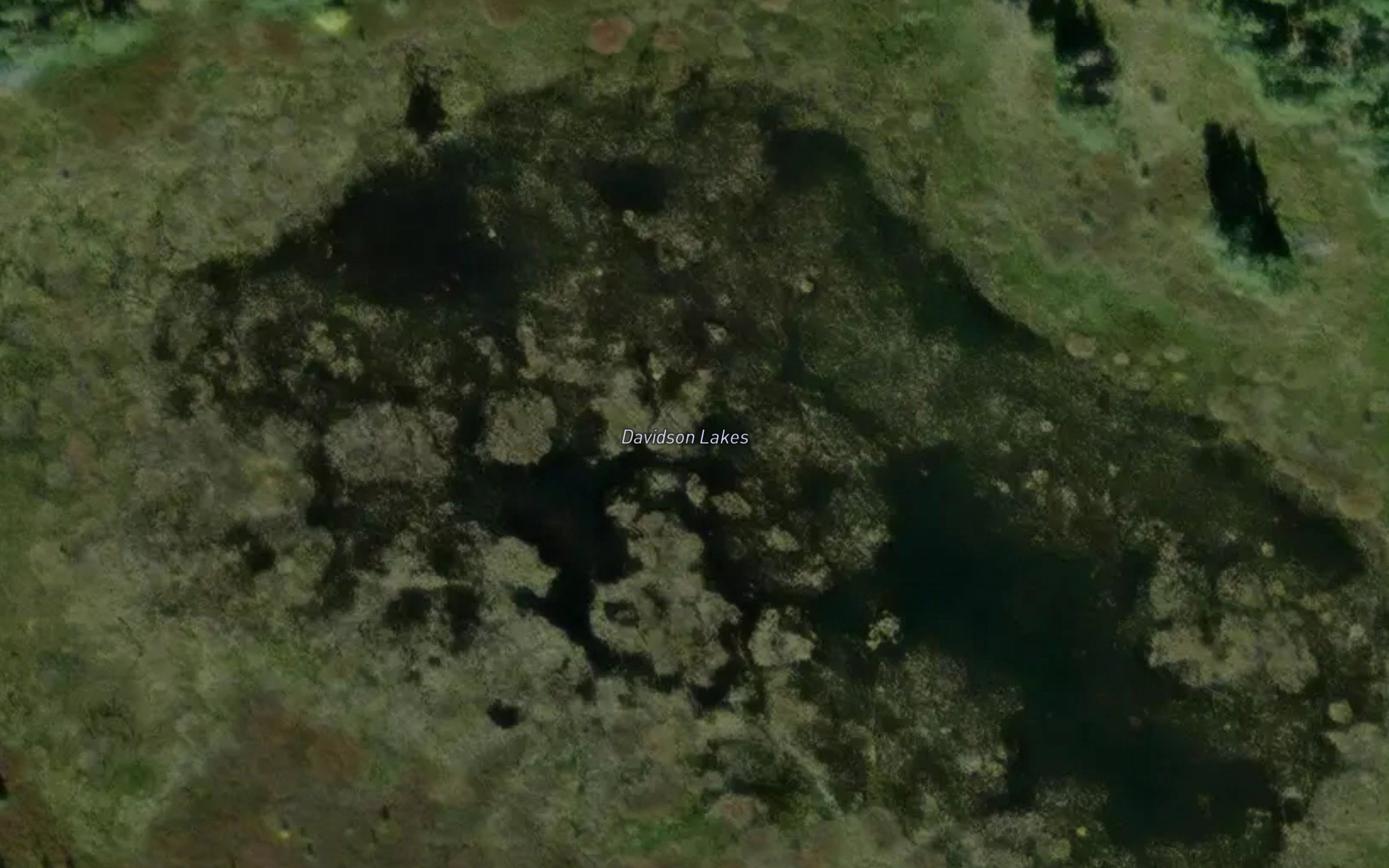 Davidson Lakes
