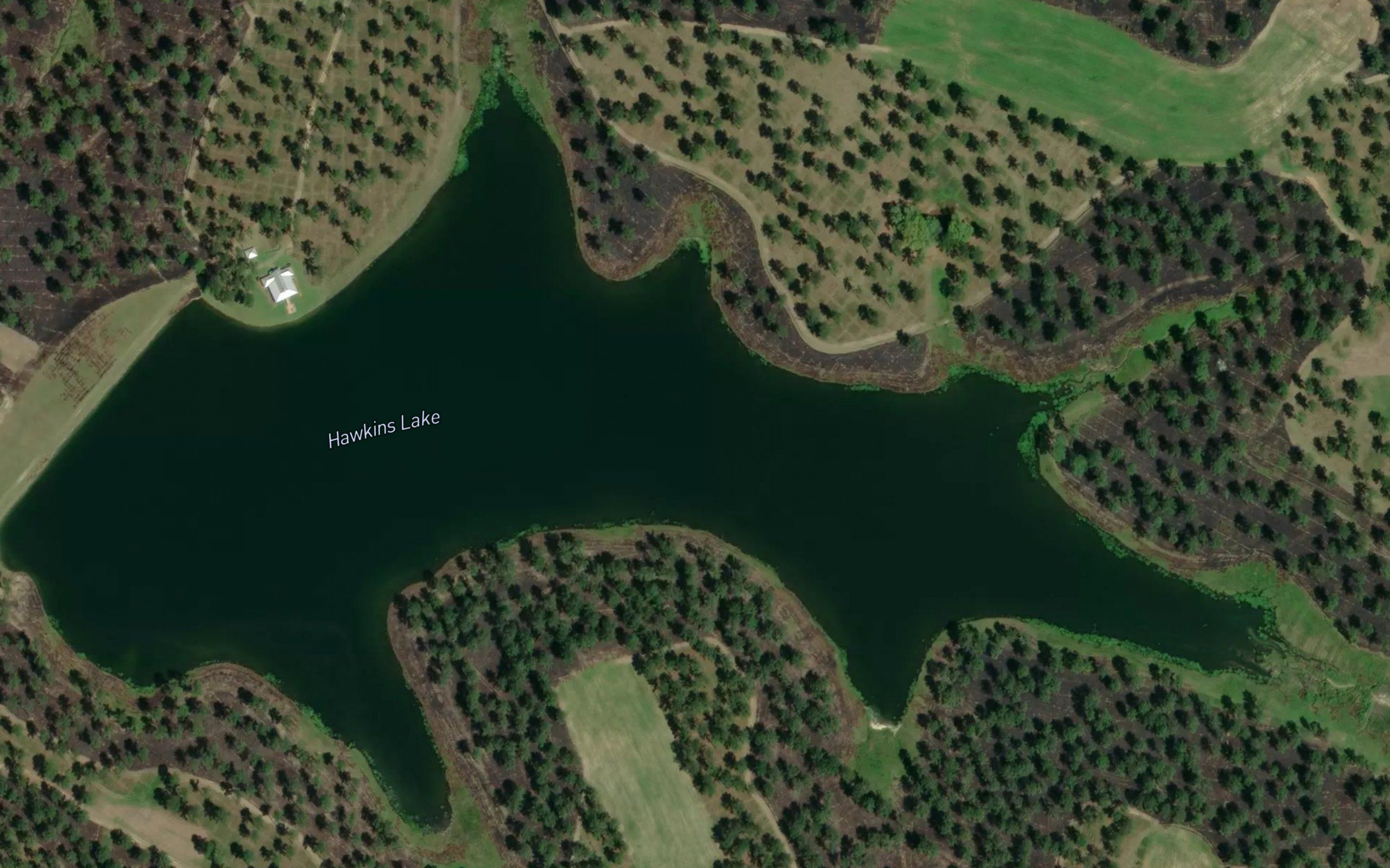 Hawkins Lake