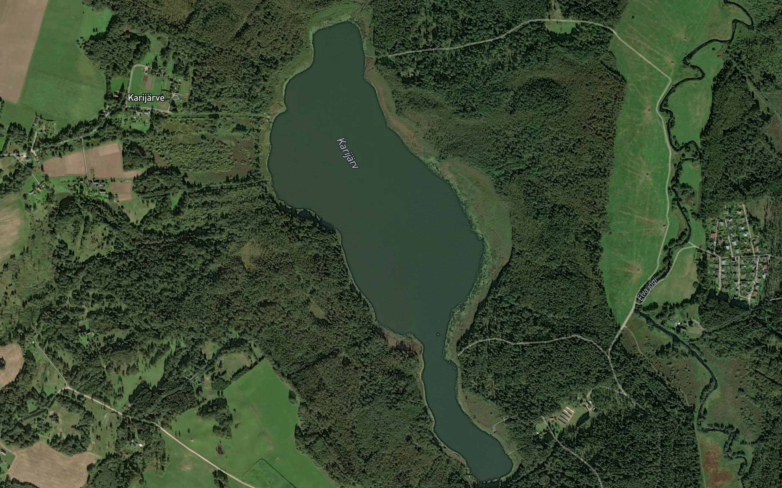 Karijarv