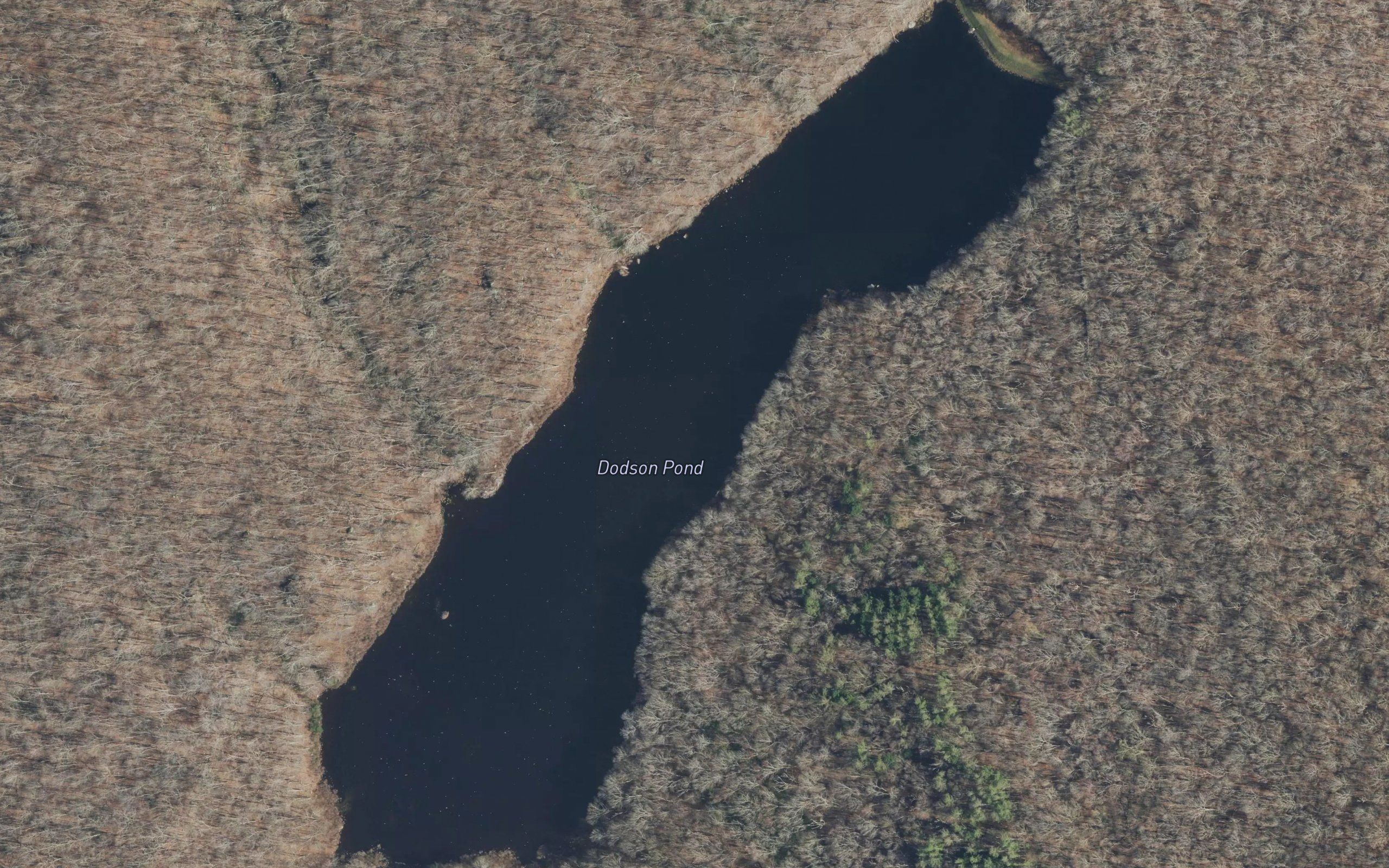 Dodson Pond