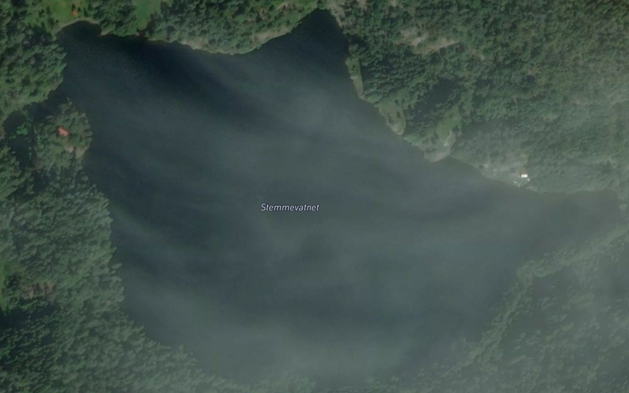 Stemvann