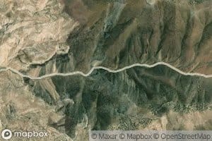Colter Spring