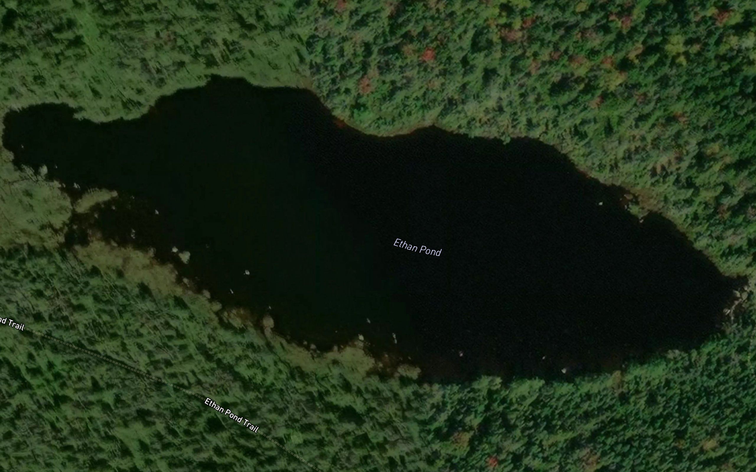 Ethan Pond