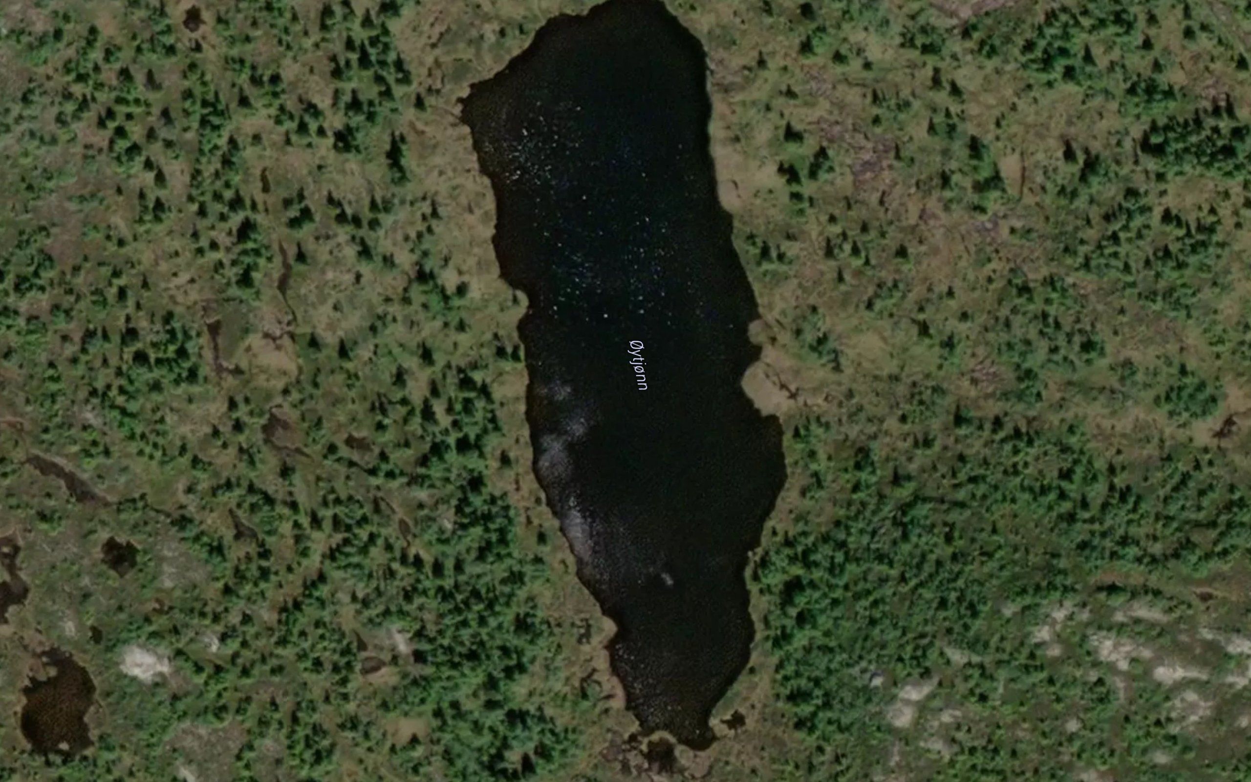 Oytjorn