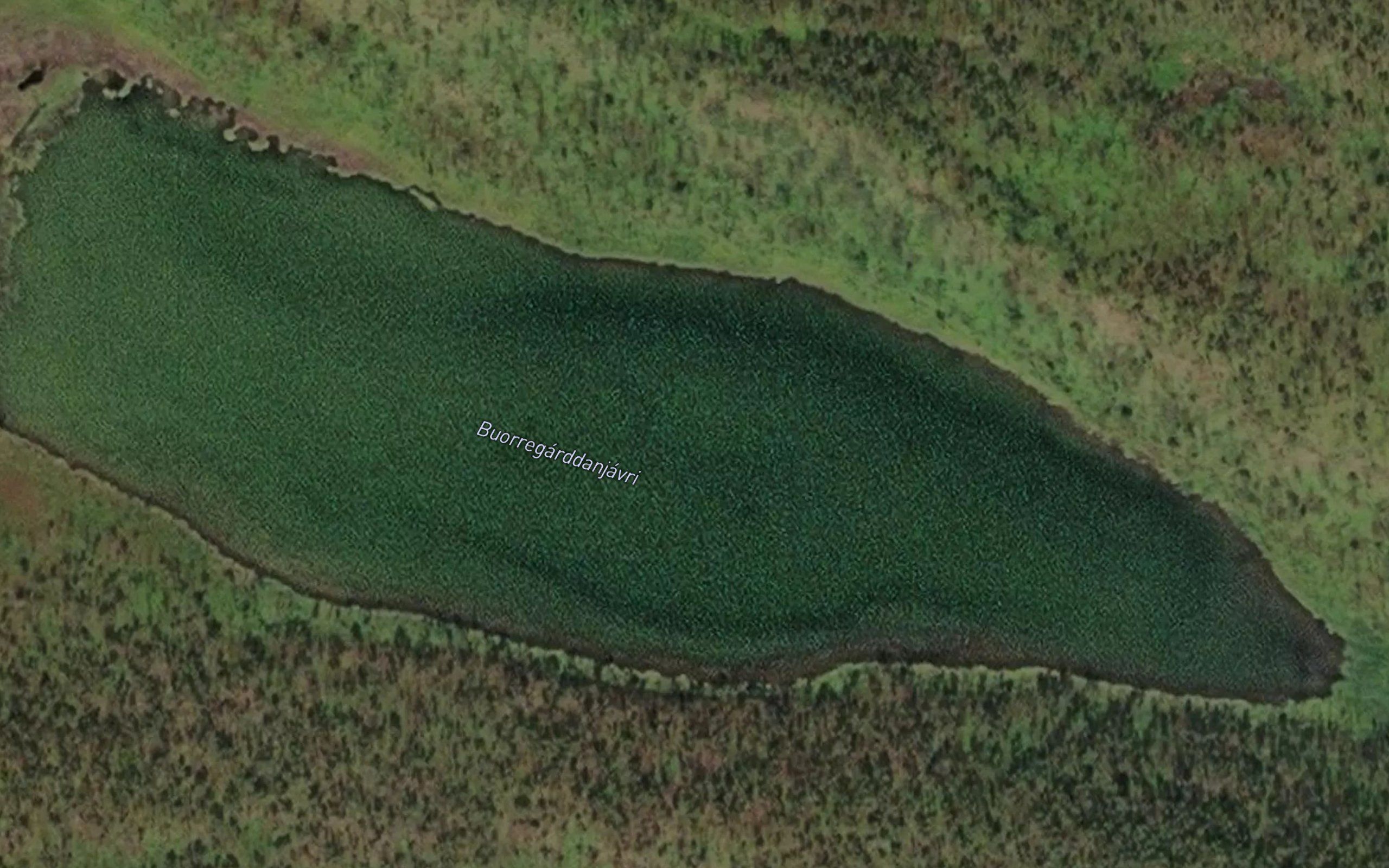Buorregardanjavri
