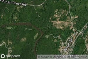 Hammett Grove Branch