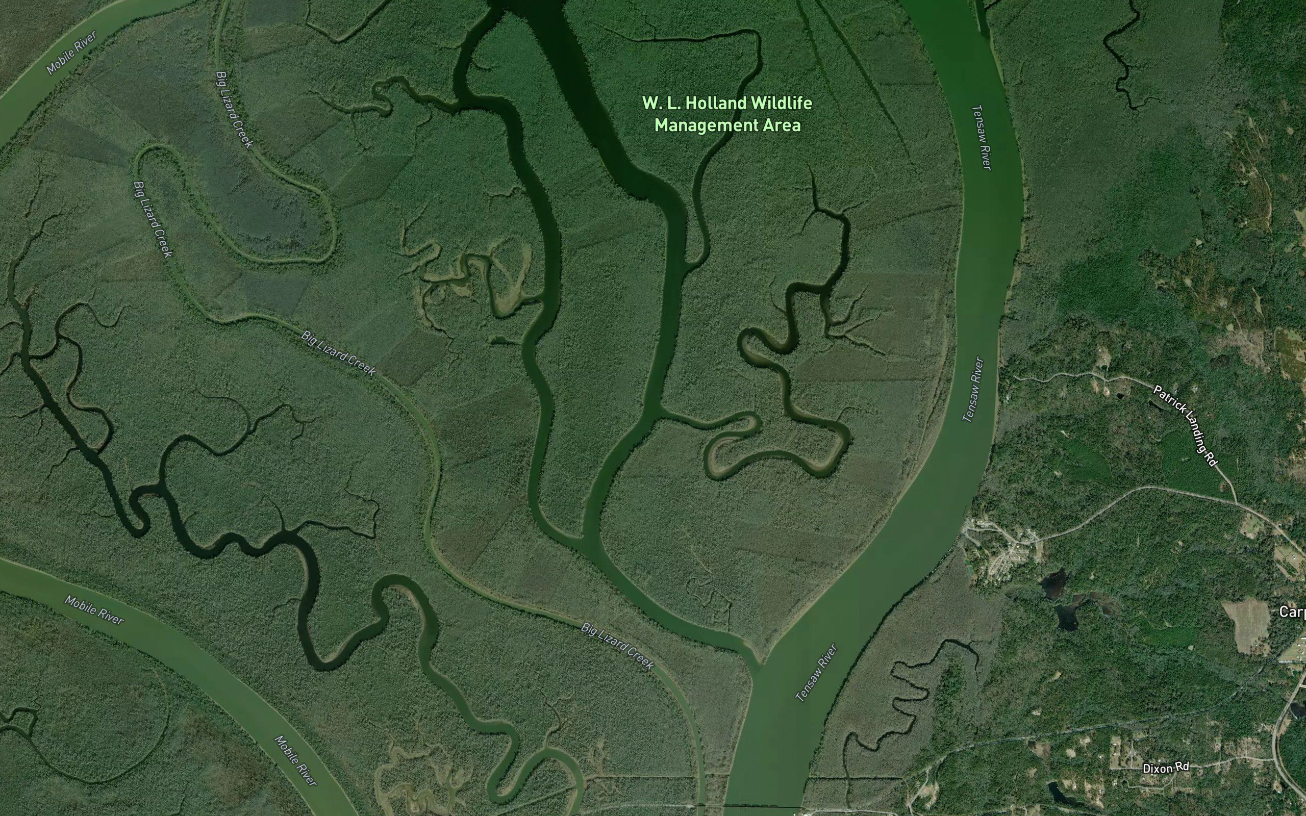 Smith Bayou