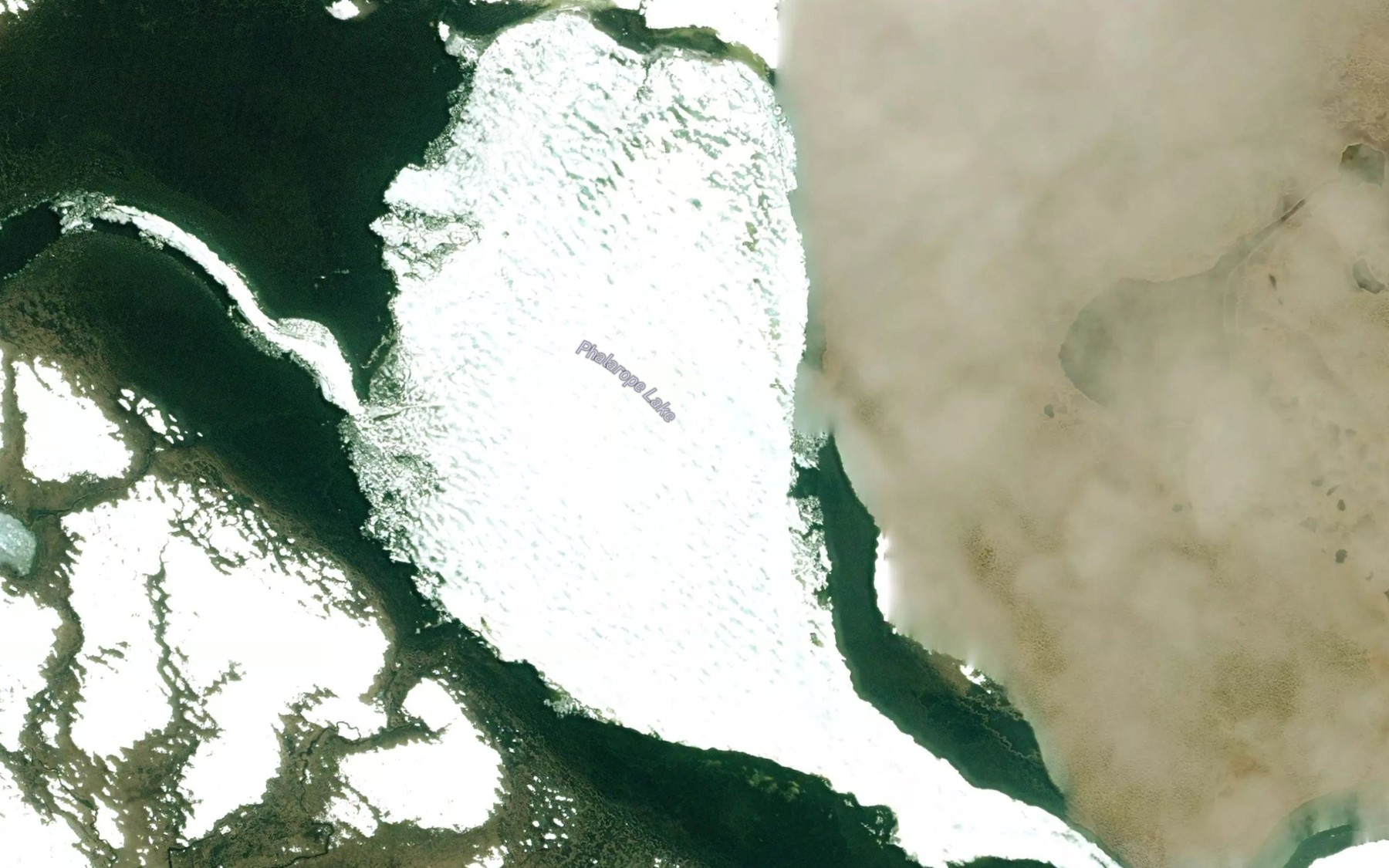 Satellite map of the Phalarope Lake